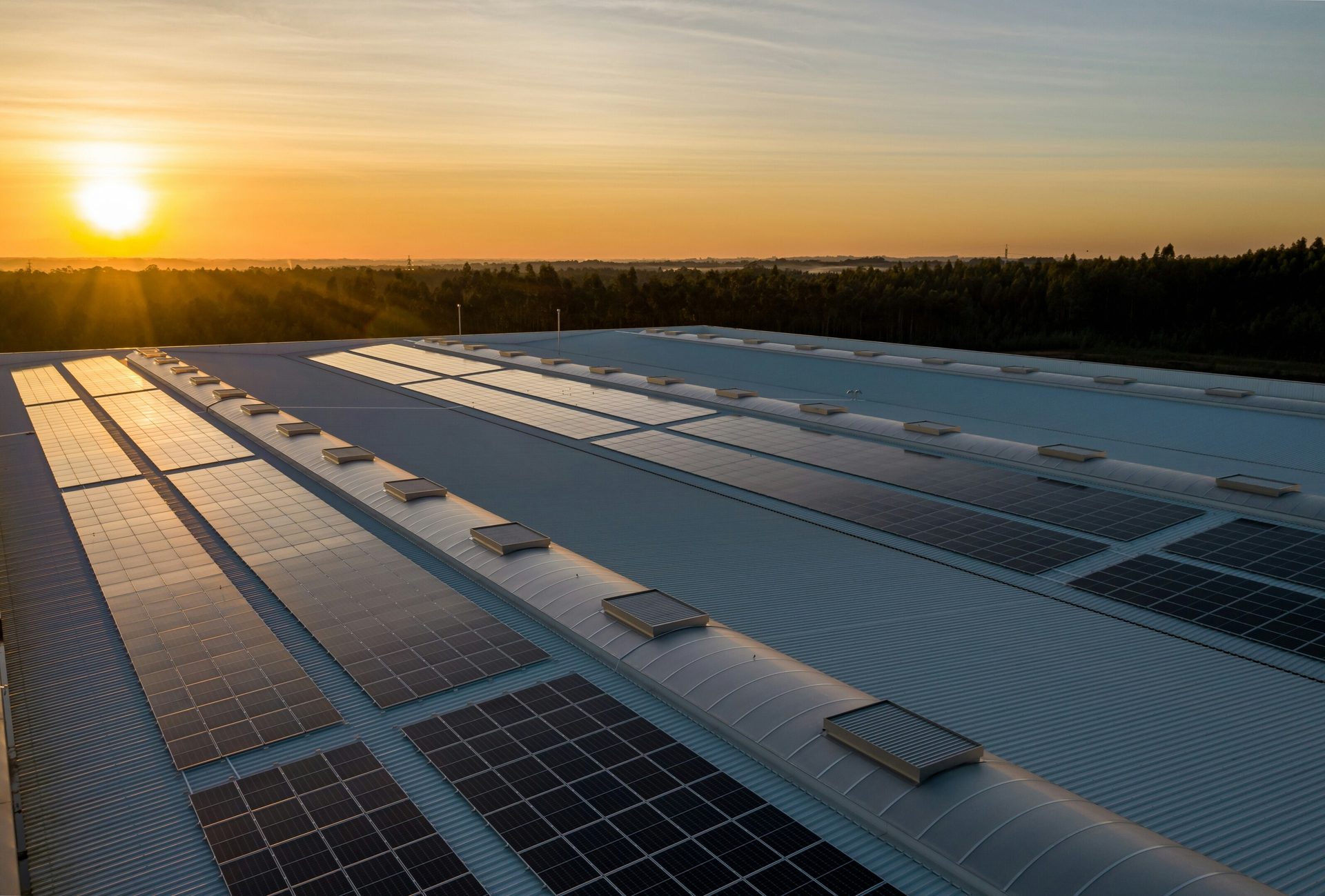 Sunset on a large roof with solar panels and forest in the background.
