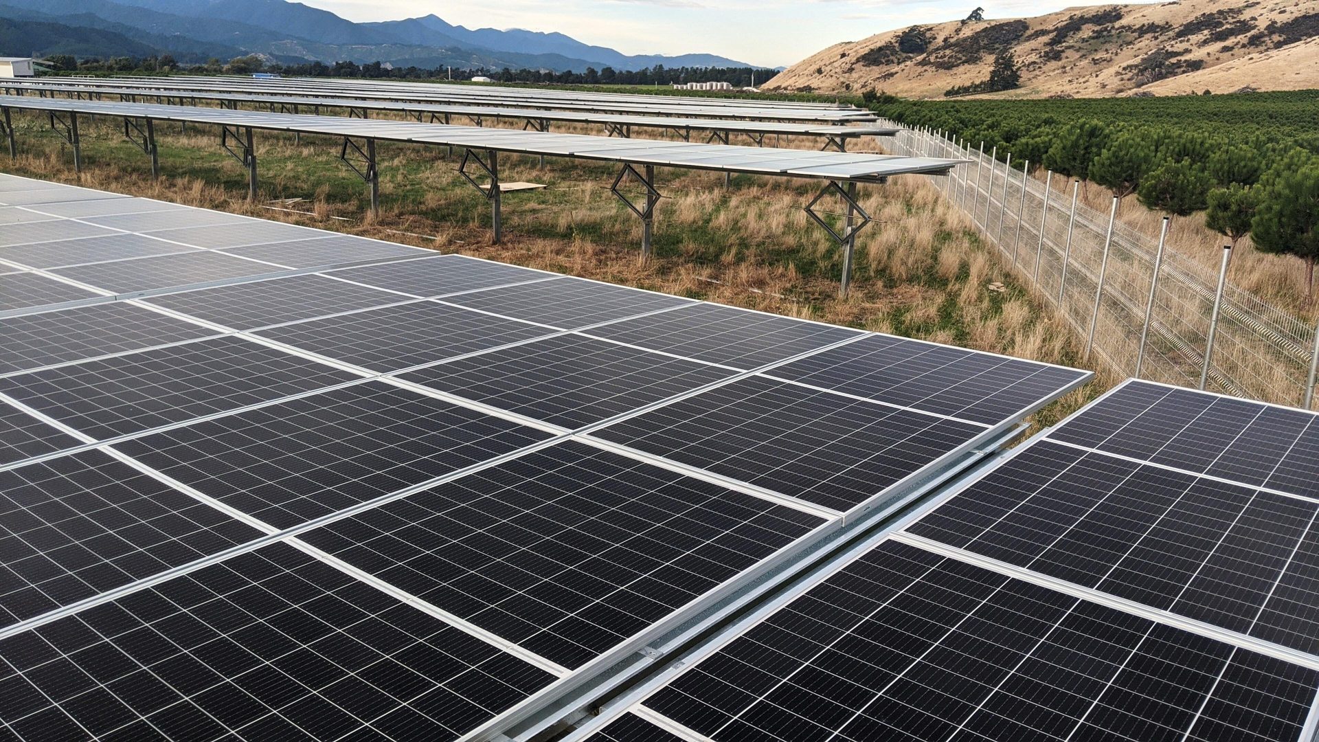 Solar panels in a field with hills and fence.
