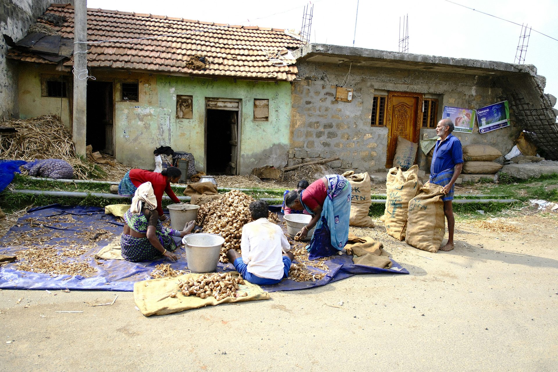 People sorting onions on a blue tarp outside a building.