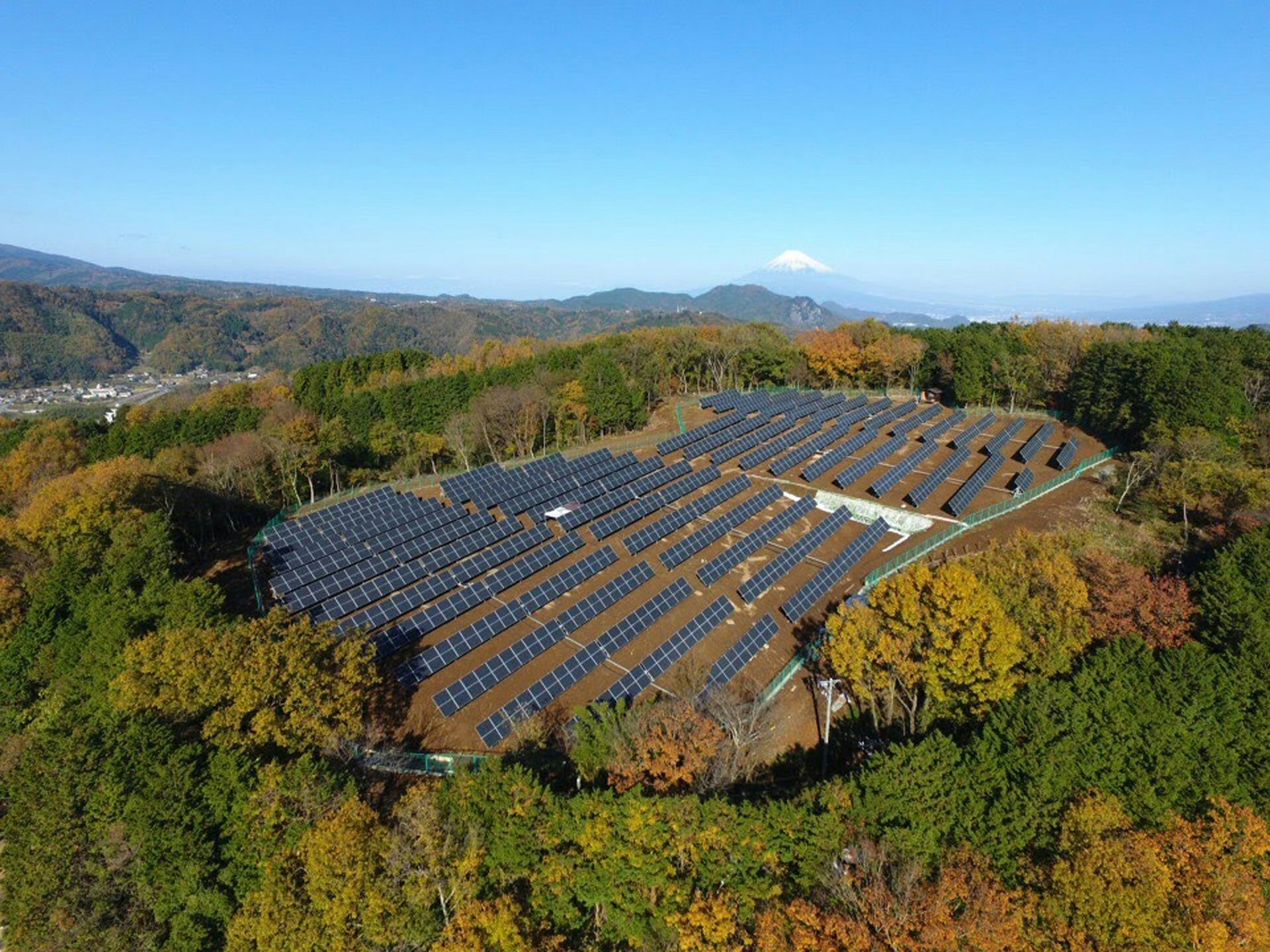 Large solar farm on hill surrounded by autumn trees, Mount Fuji visible.