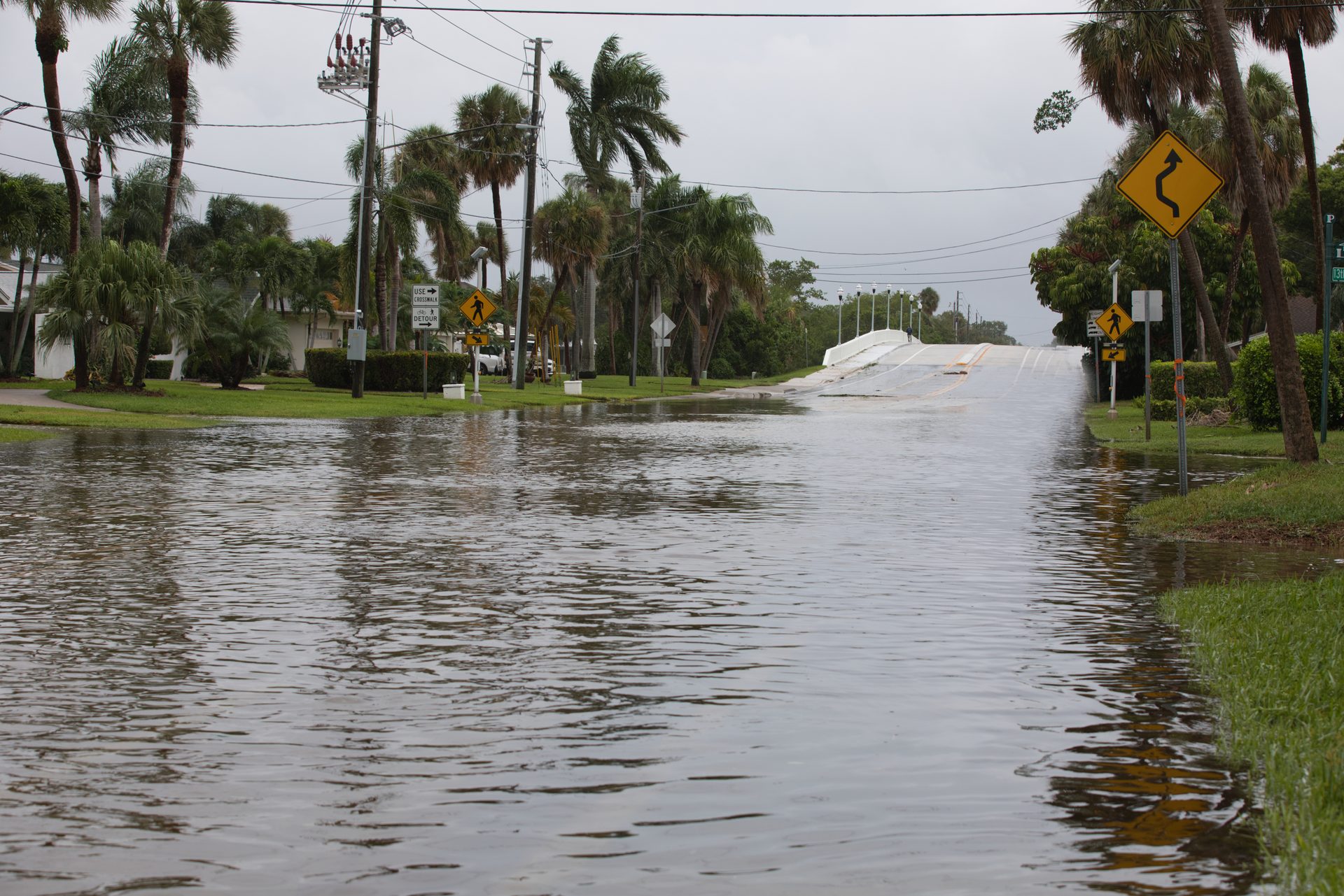 Flooded street with a bridge, palm trees, and road signs.