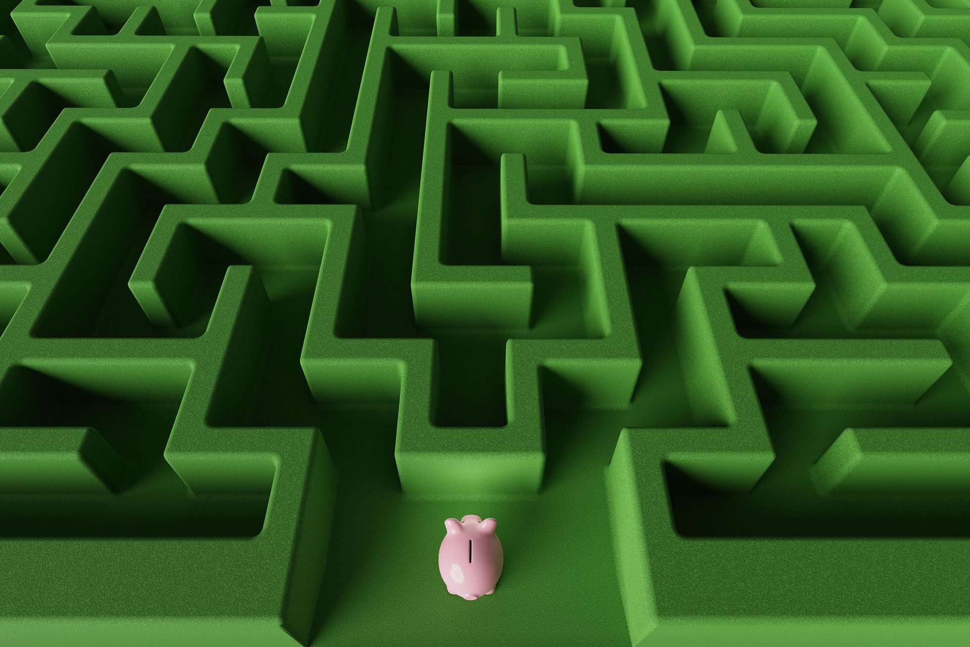 Pink piggy bank in a green maze.