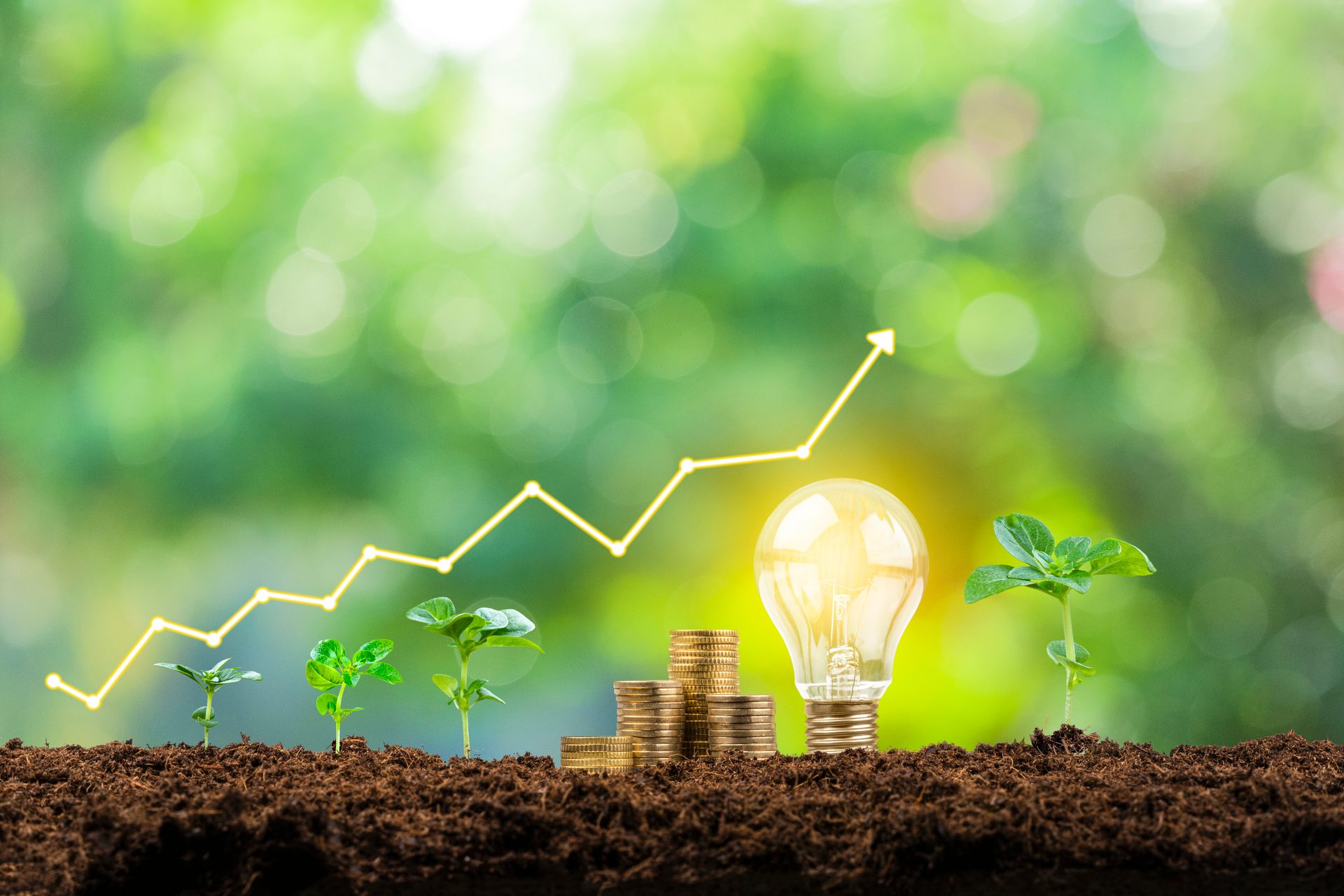 Plants, coins, and a light bulb growing from soil with an upward graph, symbolizing growth and innovation.
