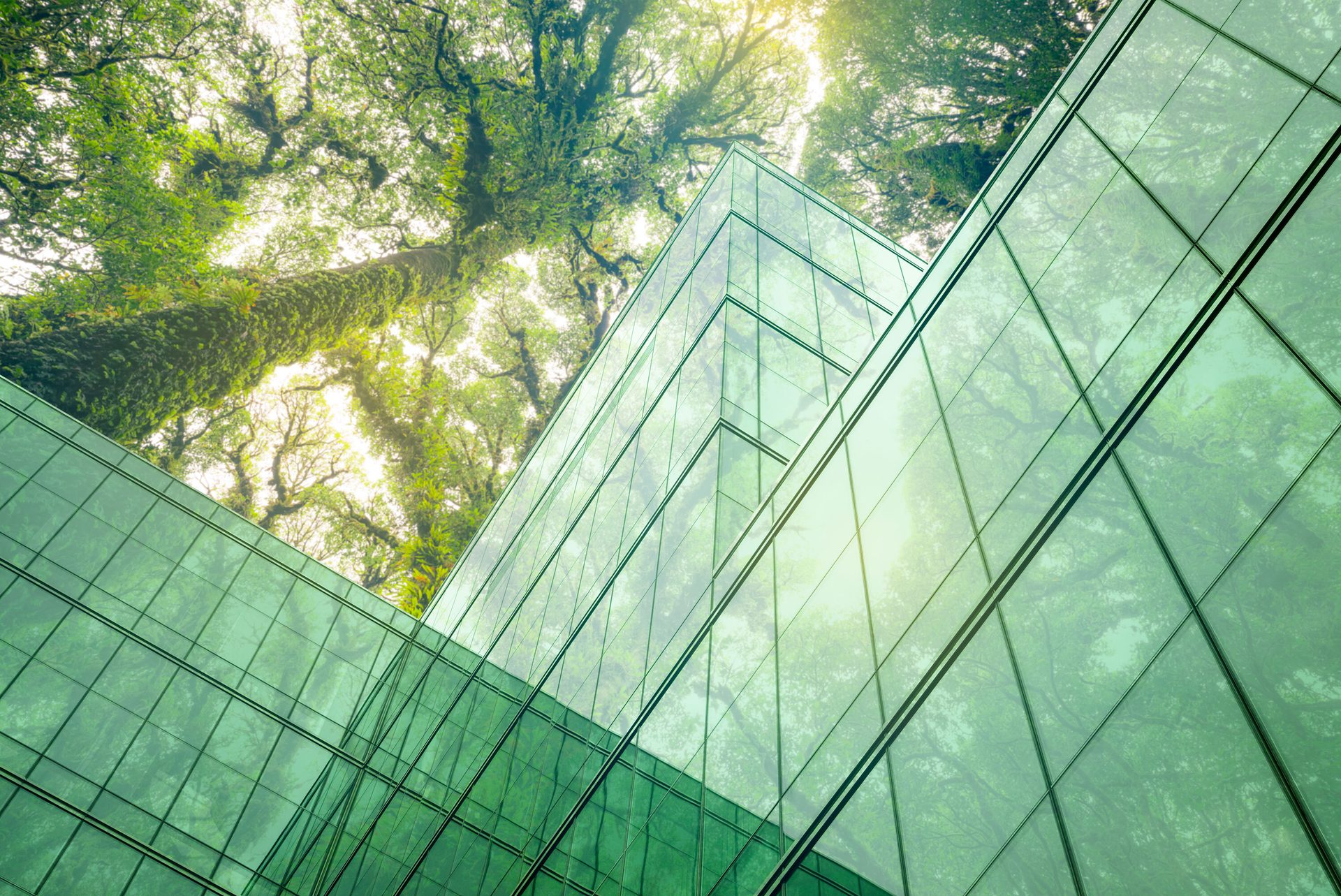 Tower block, Building, Vegetation, Biome, Skyscraper