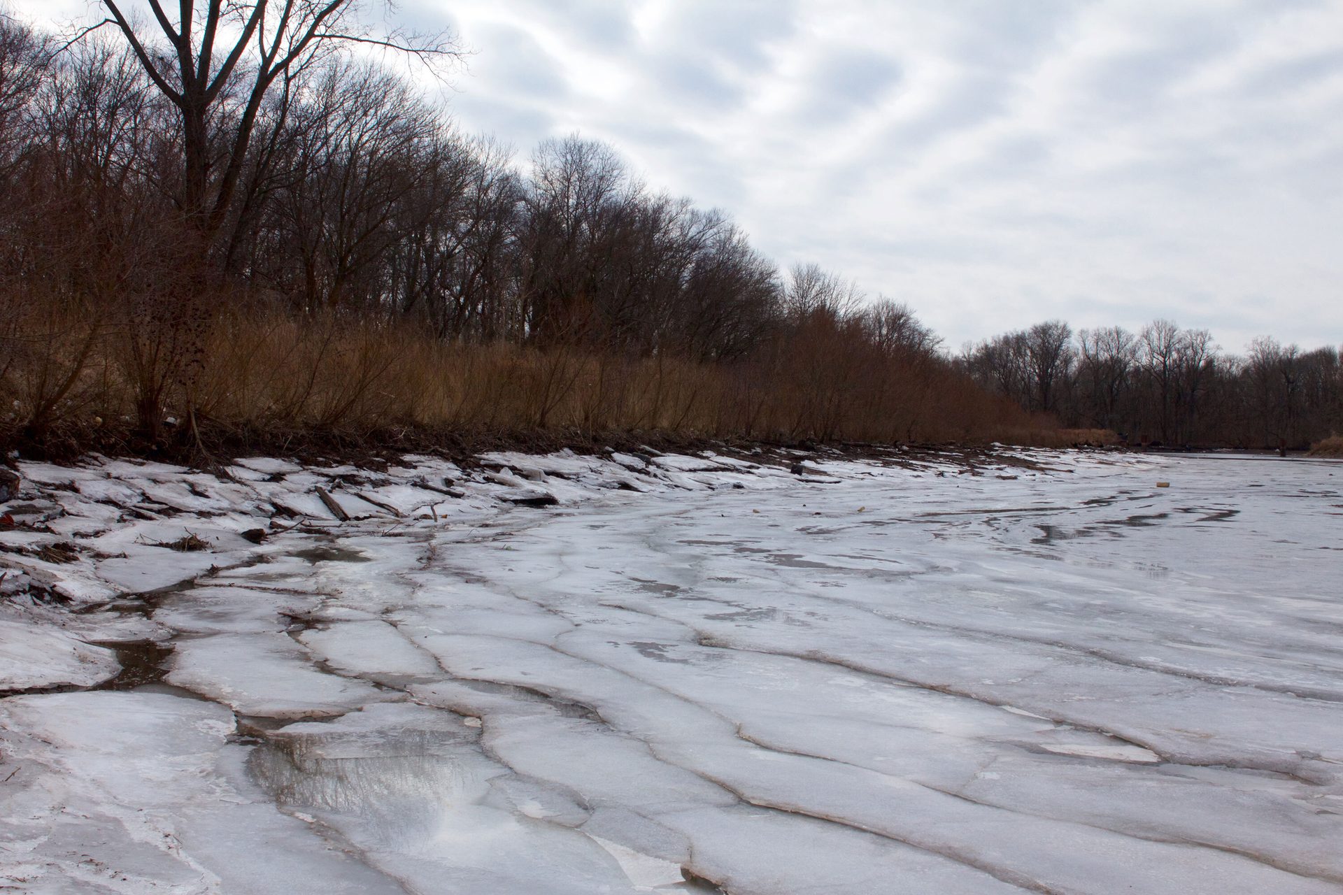 Fluvial landforms of streams, Water resources, Natural landscape, Cloud, Sky, Plant, Tree, Snow, Wood, Twig