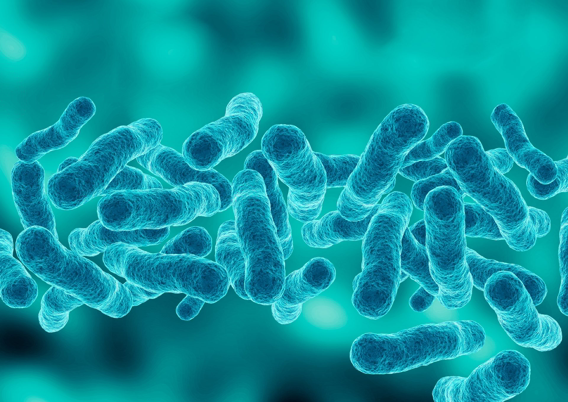Numerous blue-green rod-shaped bacteria against a blurred teal background.
