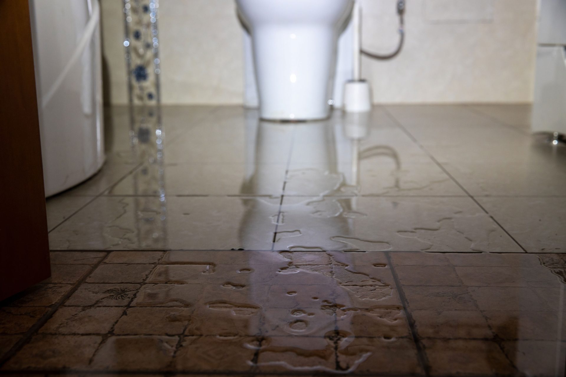 Tile flooring, Plumbing fixture, Material property, Wood, Drinkware, Grey, Floor, Wall