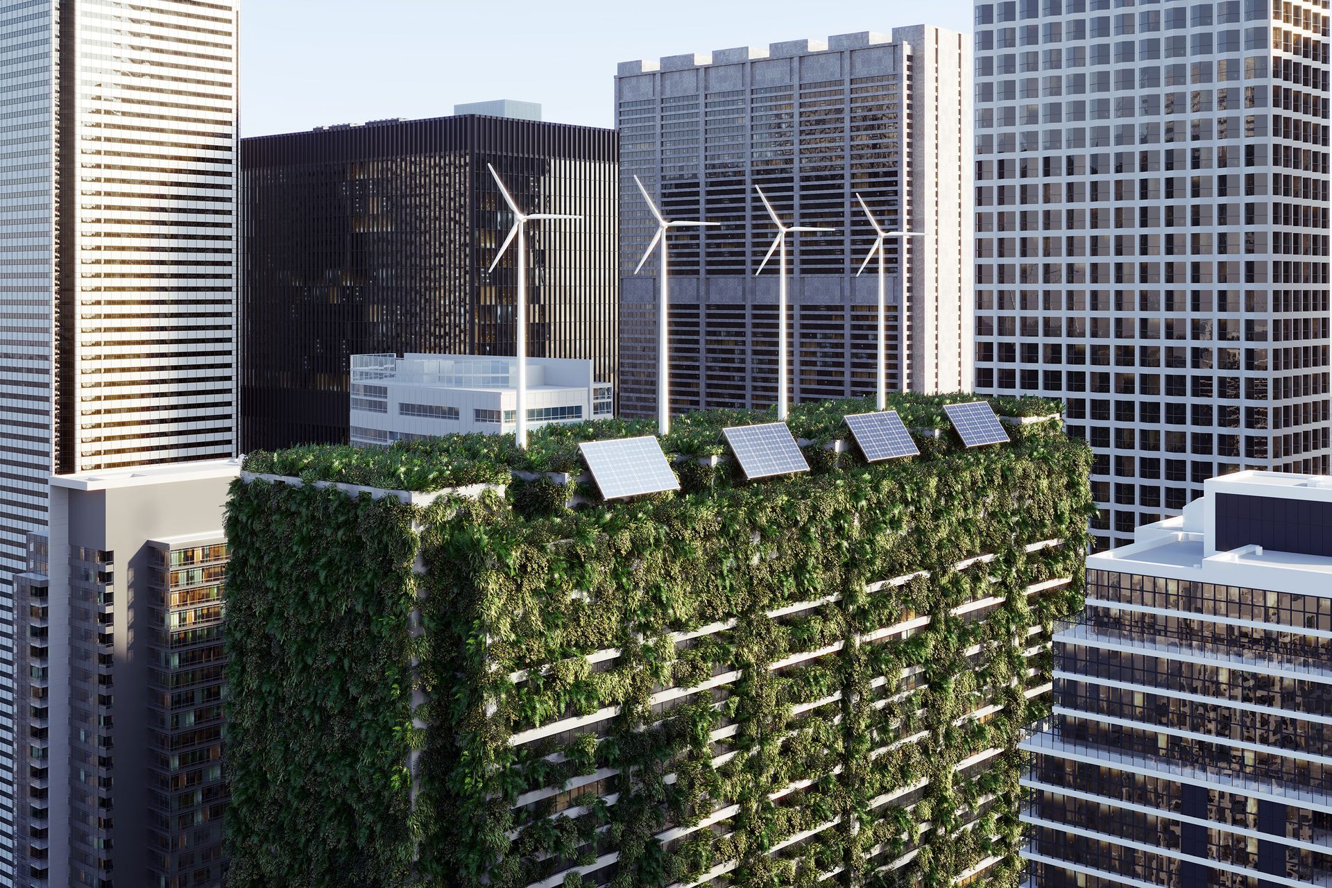 Tower block, Urban design, Skyscraper, Building, Plant, Vegetation, Sky, House, Biome, Grass