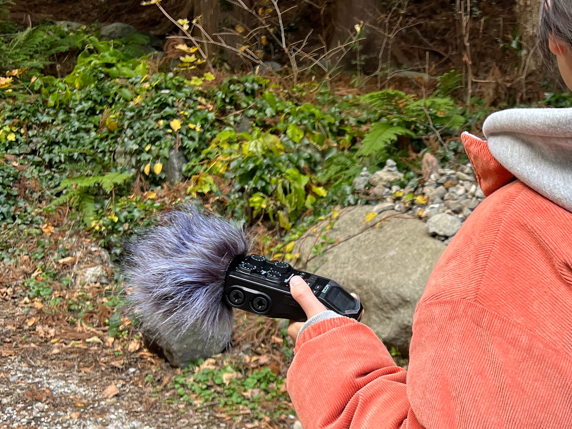 Plant, Glove, Botany, Bird