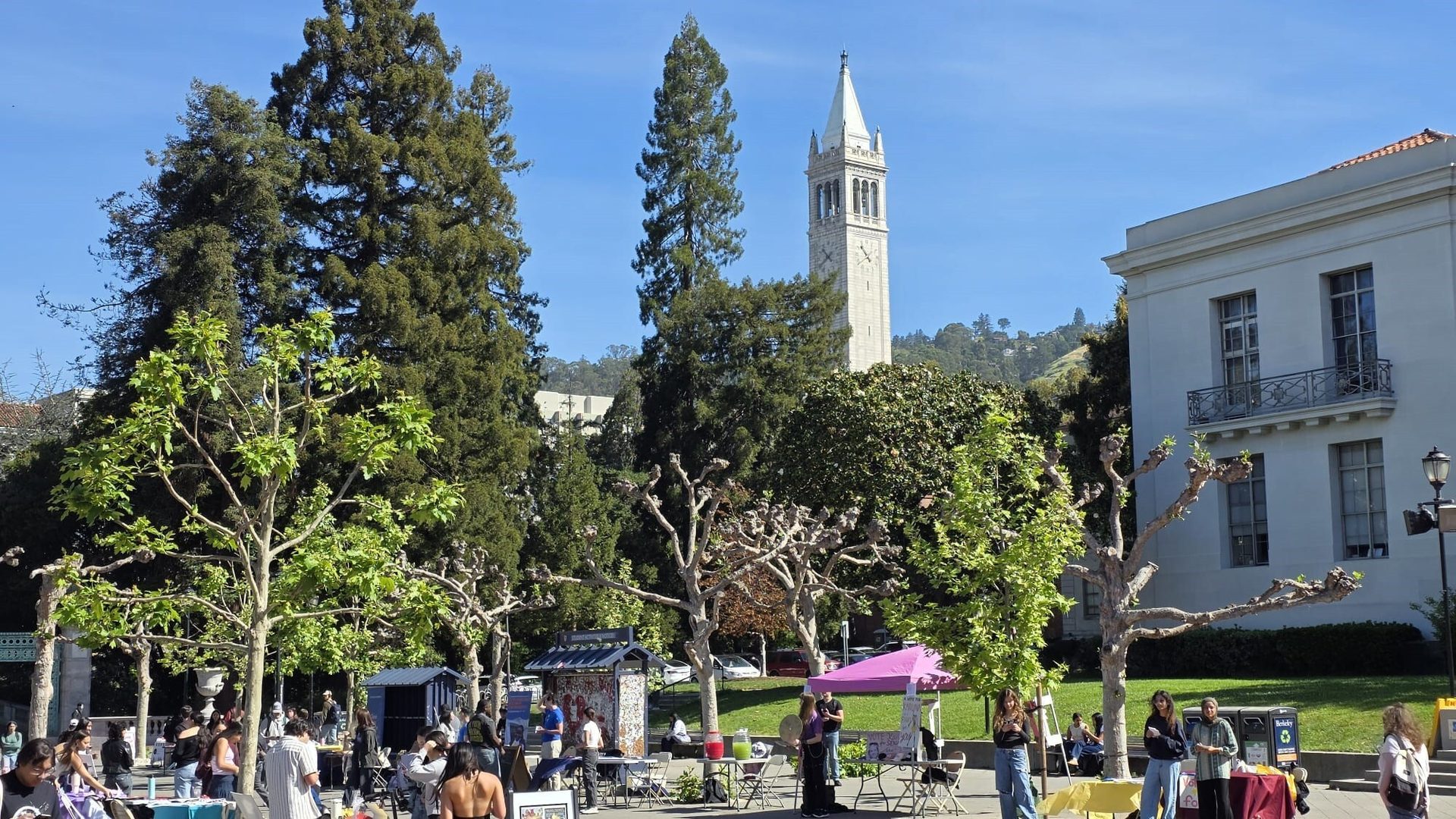 Outdoor market at UC Berkeley with people, trees, and Sather Tower.
