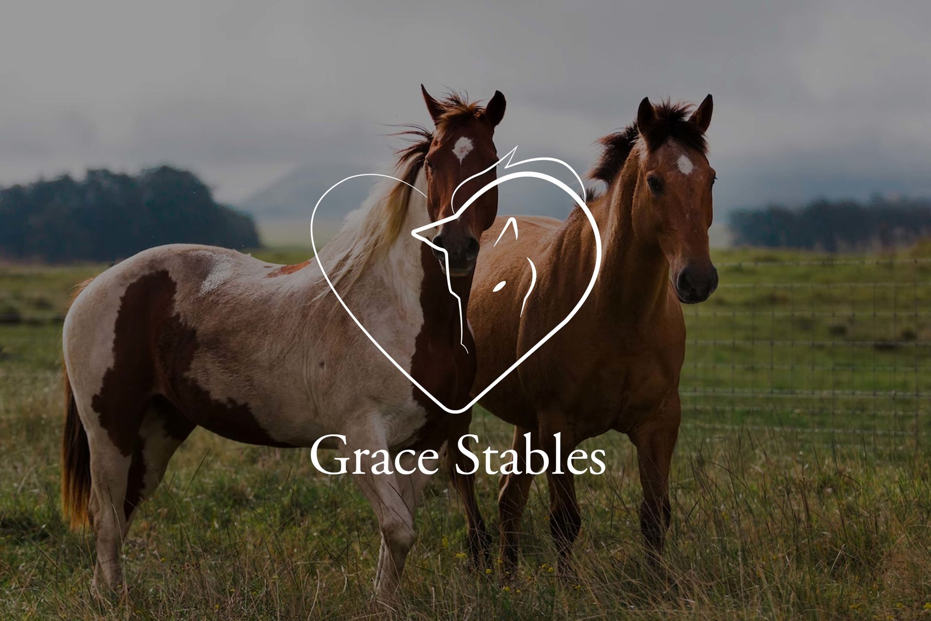 Working animal, Horse supplies, Sky, Liver, Sorrel