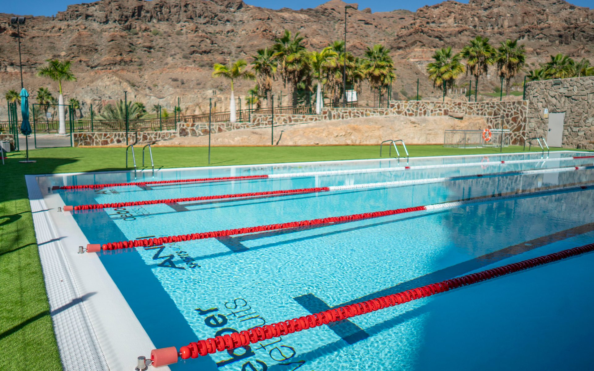 Outdoor swimming pool with lane lines, green grass, palm trees, and rocky mountains.