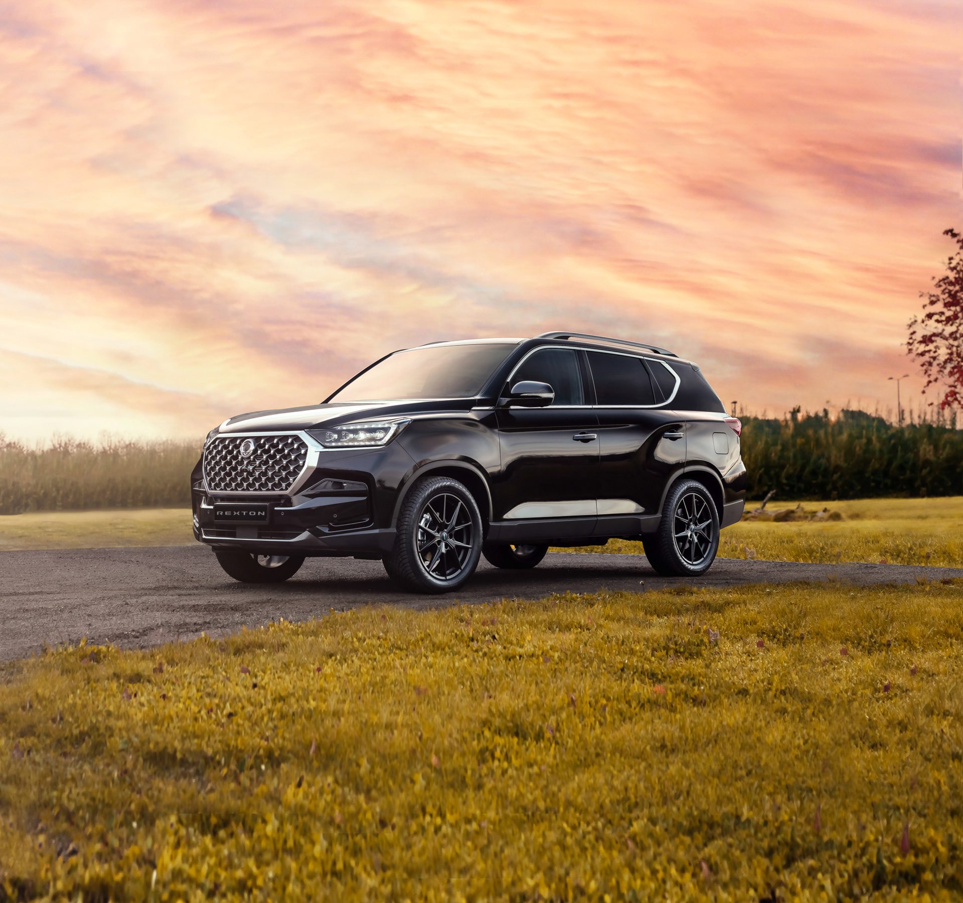 Automotive tire, Wheel, Sky, Vehicle, Car, Cloud, Plant, Grille