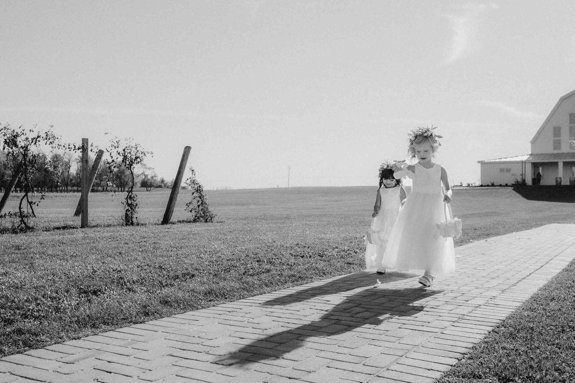 Formal wear, Bridal Clothing, Wedding dress, Photograph, Event, Ceremony