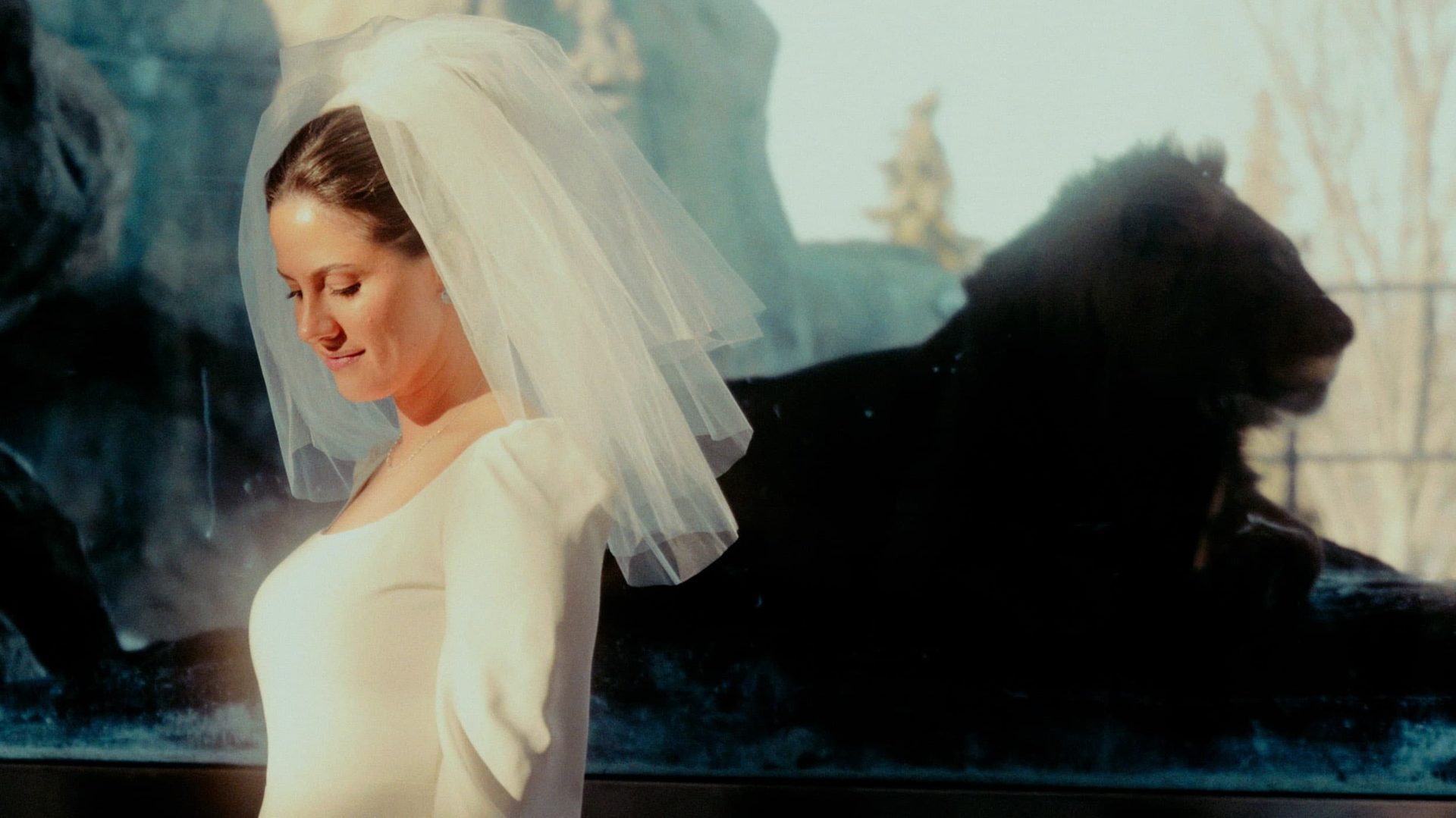 Bridal Clothing, Wedding dress, Happiness, Veil, Bride, Gown