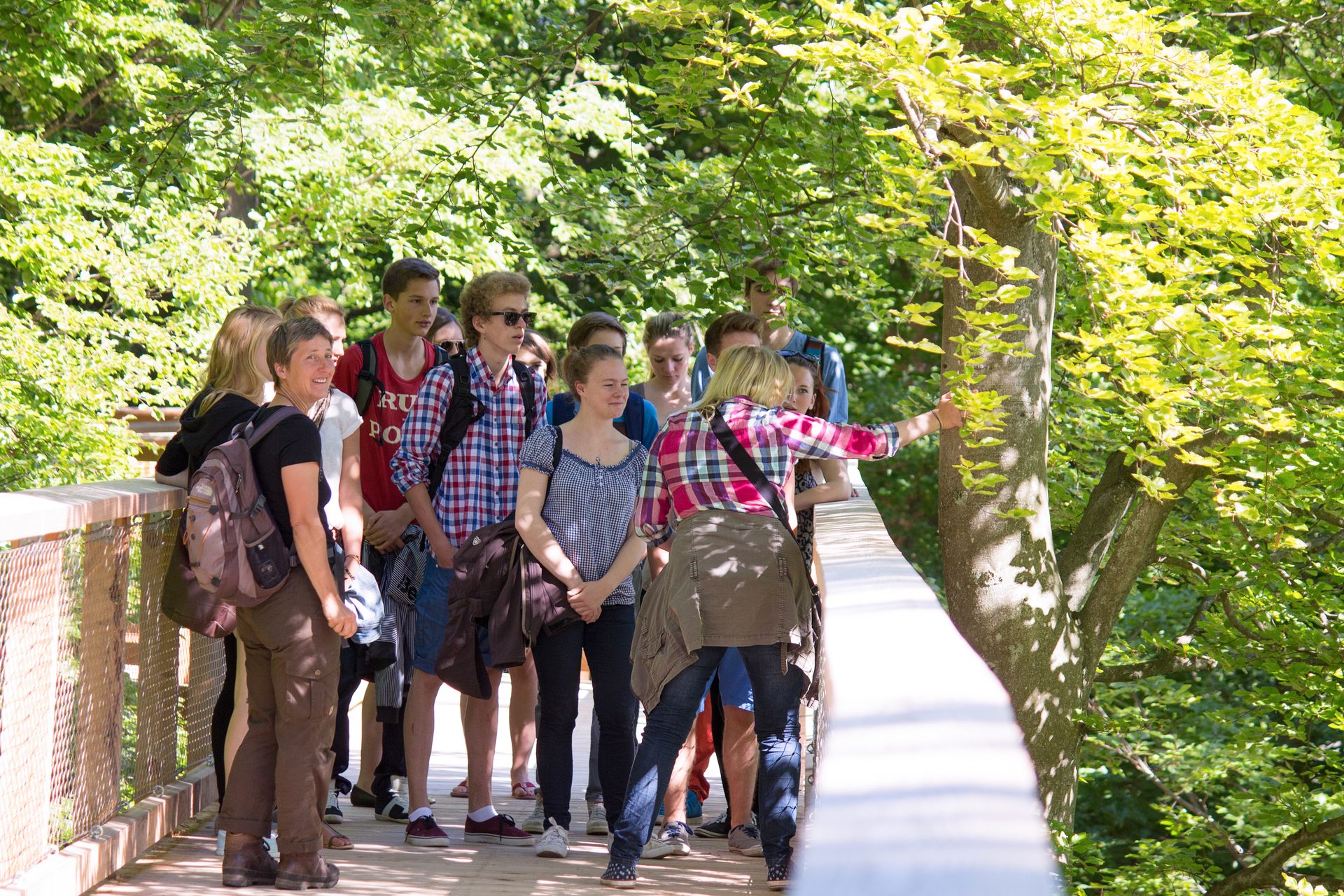 People in nature, Luggage and bags, Natural environment, Woody plant, Shorts, Tie, Leisure
