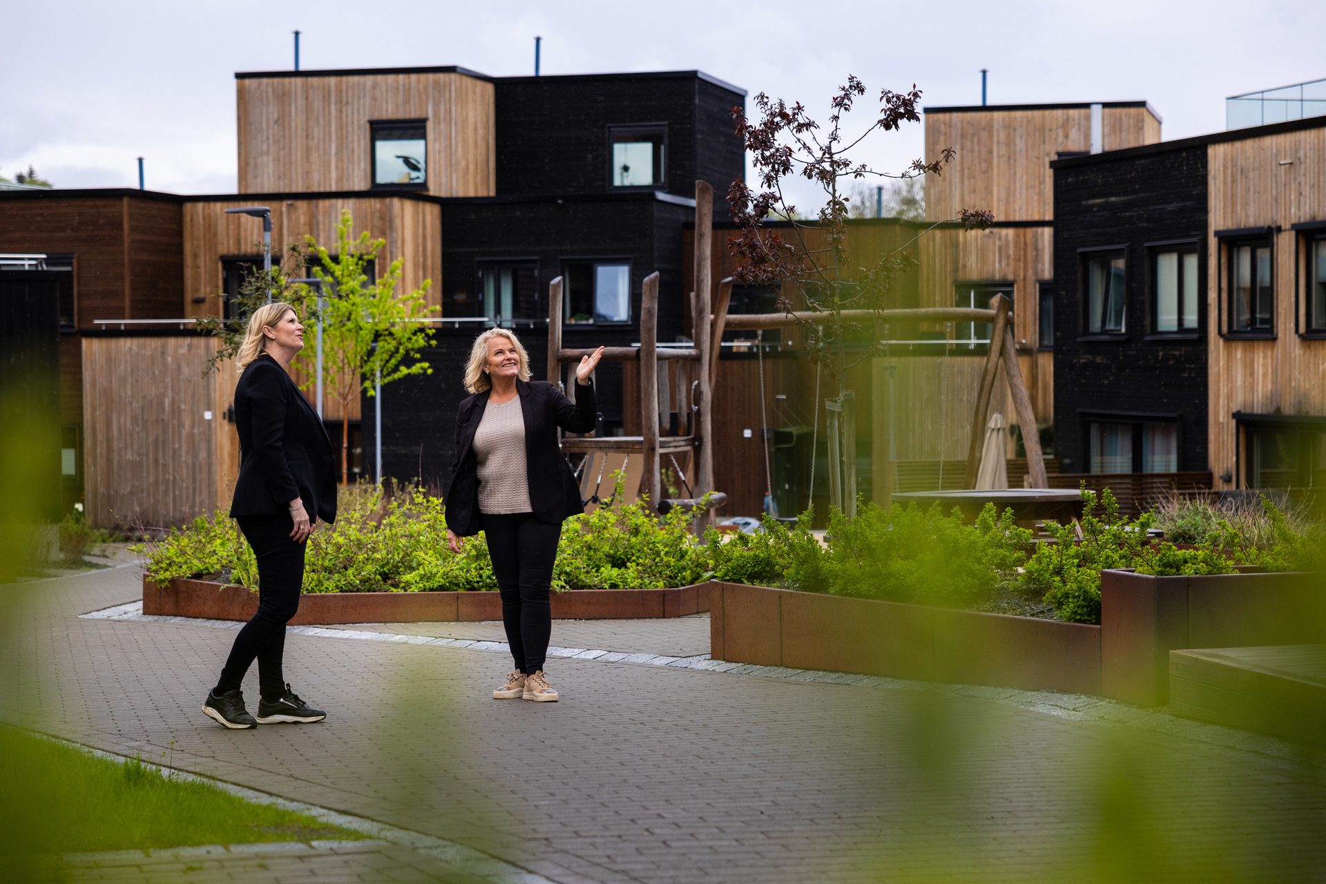 Urban design, Residential area, Plant, Building, Sky, Grass, Vegetation, Neighbourhood
