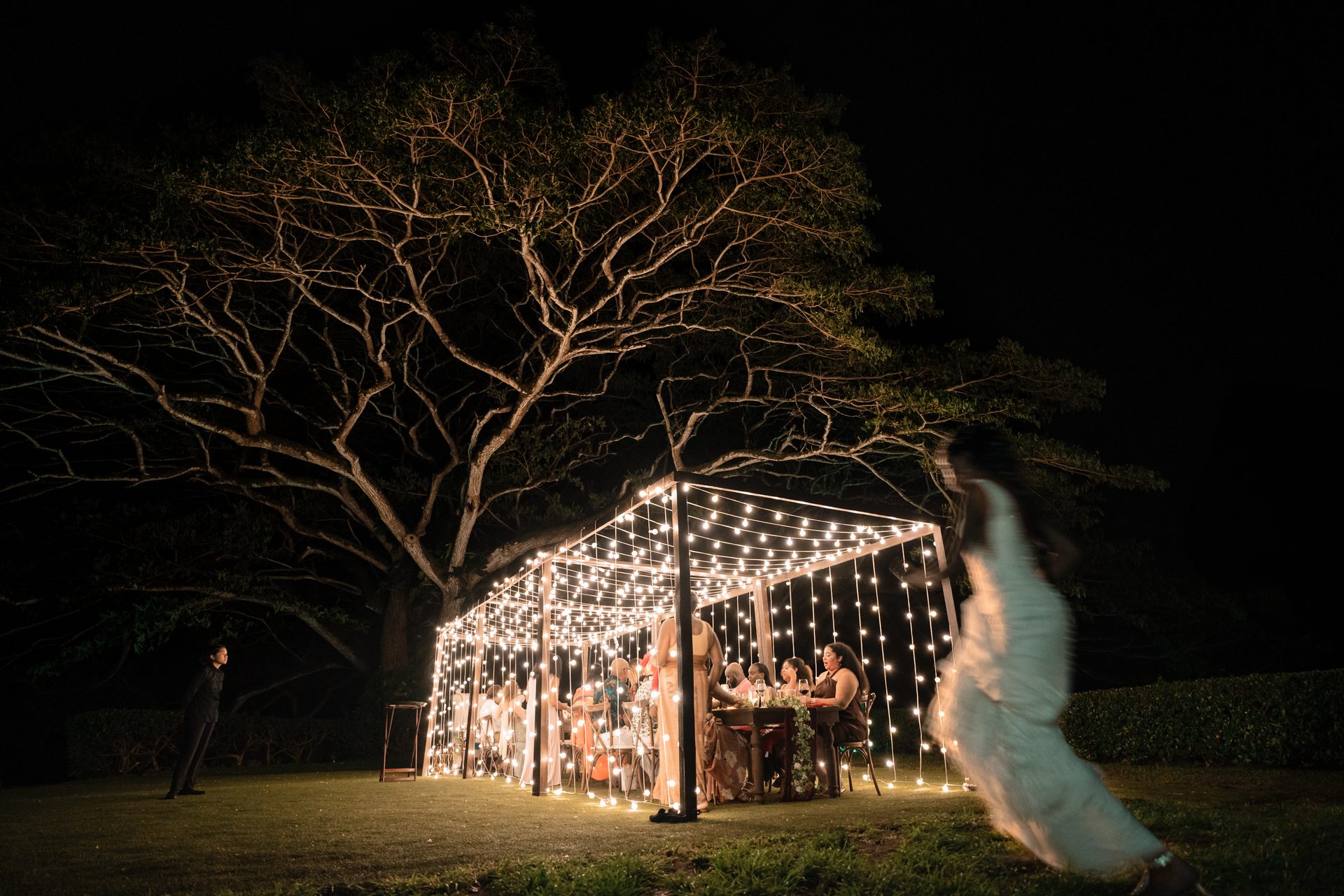 Flash photography, Woody plant, Atmosphere, Branch, Building, Tree, Twig, House