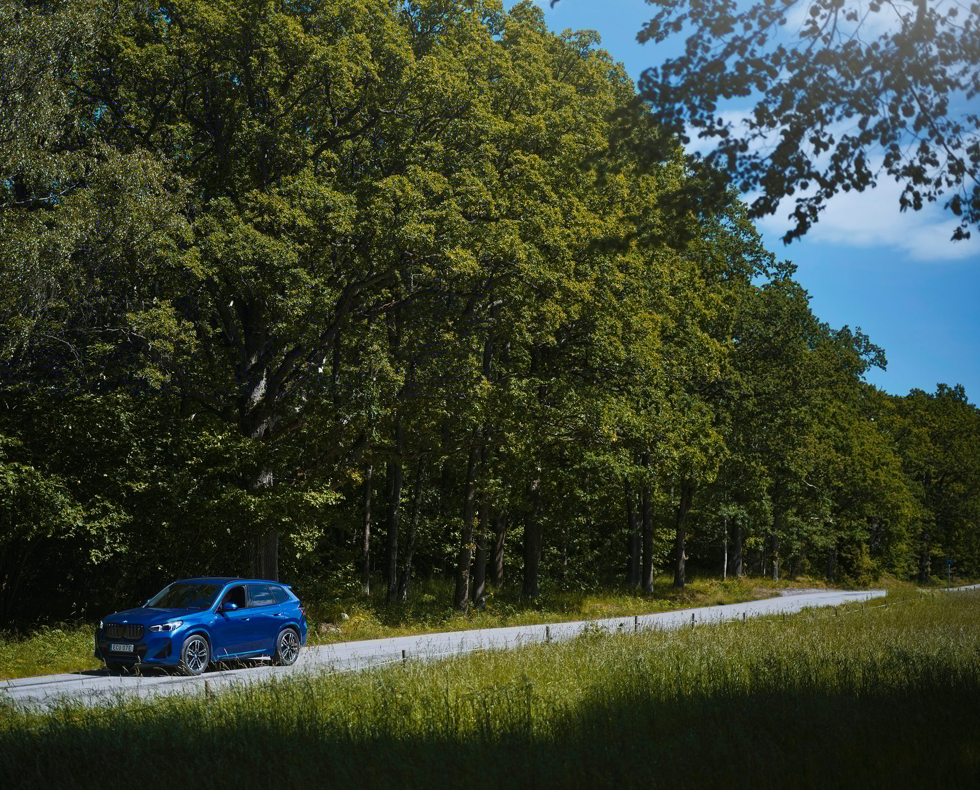 Automotive lighting, Natural landscape, Tire, Plant, Wheel, Car, Vehicle, Sky, Tree