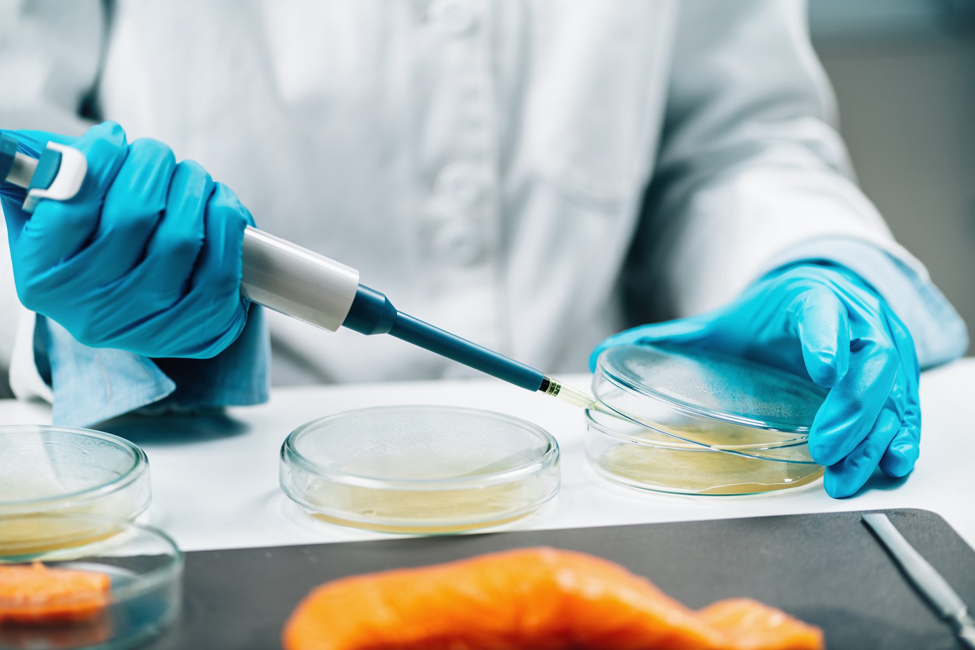 Gloved scientist pipetting into petri dish, salmon nearby, food safety lab.