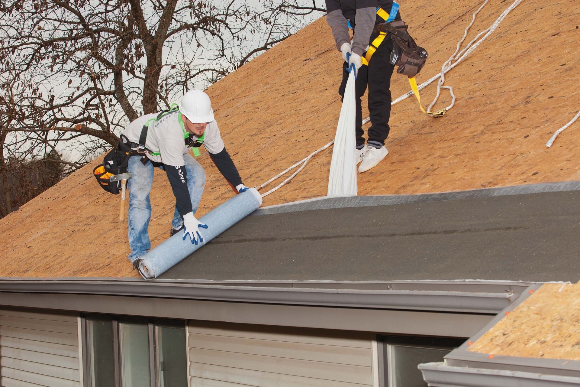 Two roofers installing underlayment on a plywood roof, wearing safety harnesses.