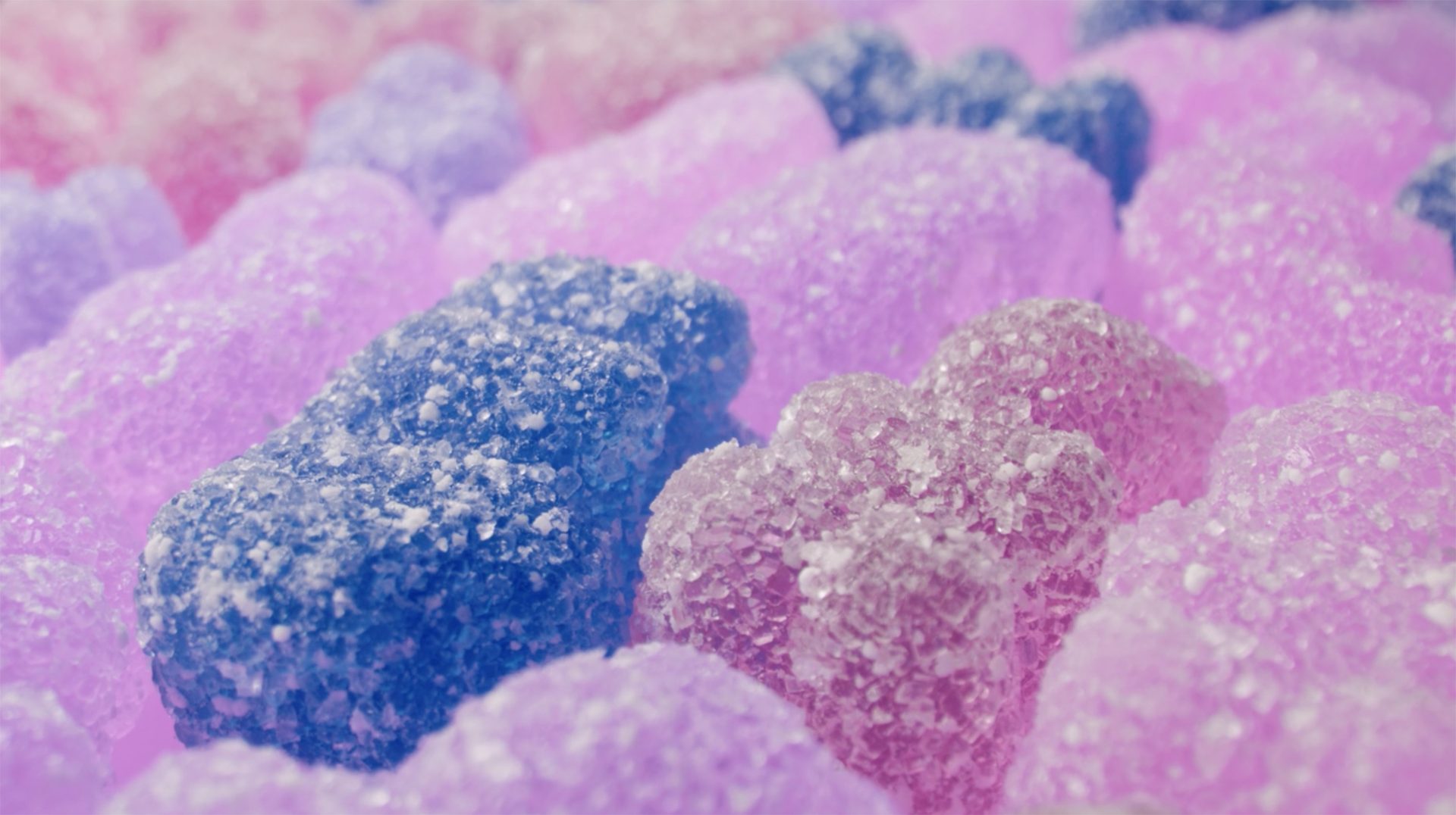 Close-up of pink, purple, and blue sugar-coated candies.