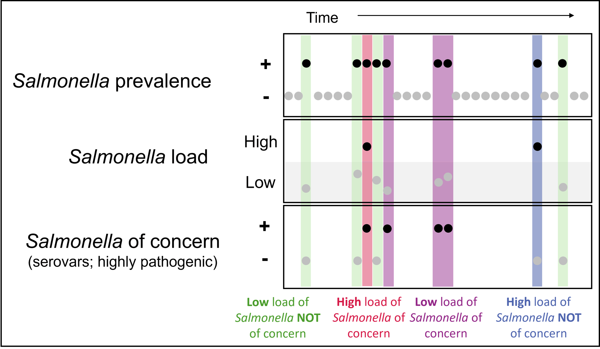 Timeline of Salmonella prevalence, load (high/low), and highly pathogenic serovars over time.