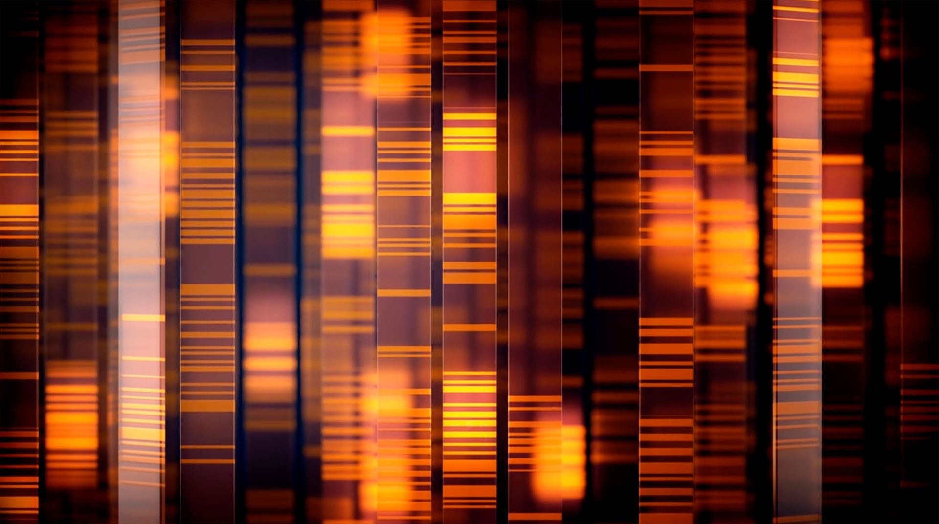 DNA gel electrophoresis: glowing orange bands on dark vertical strips, a scientific pattern.