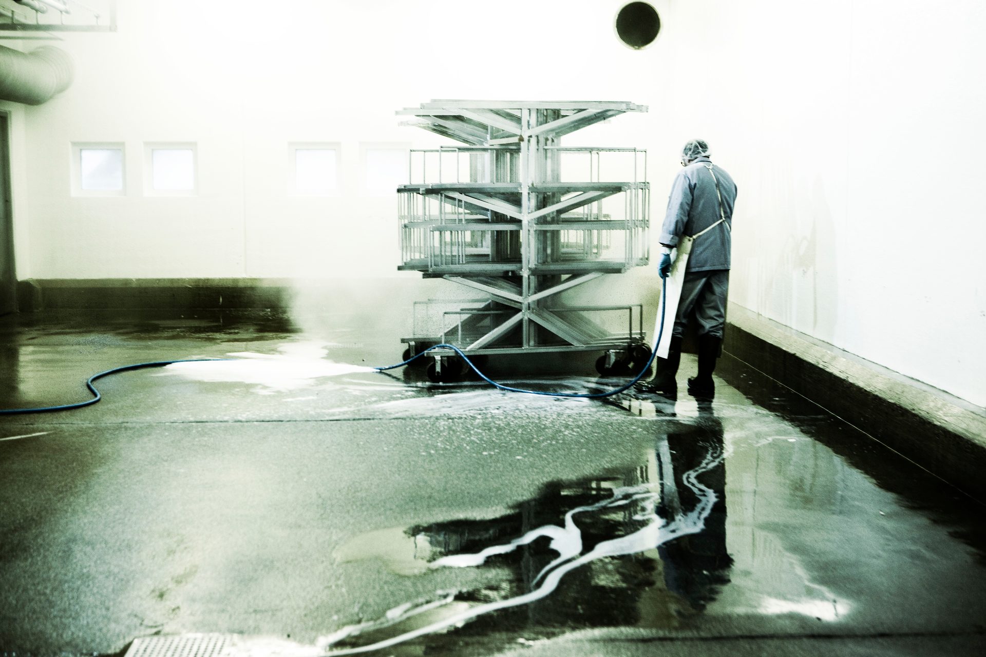 Flash photography, Automotive tire, Road surface, Water, Hood, Asphalt, Floor, Flooring