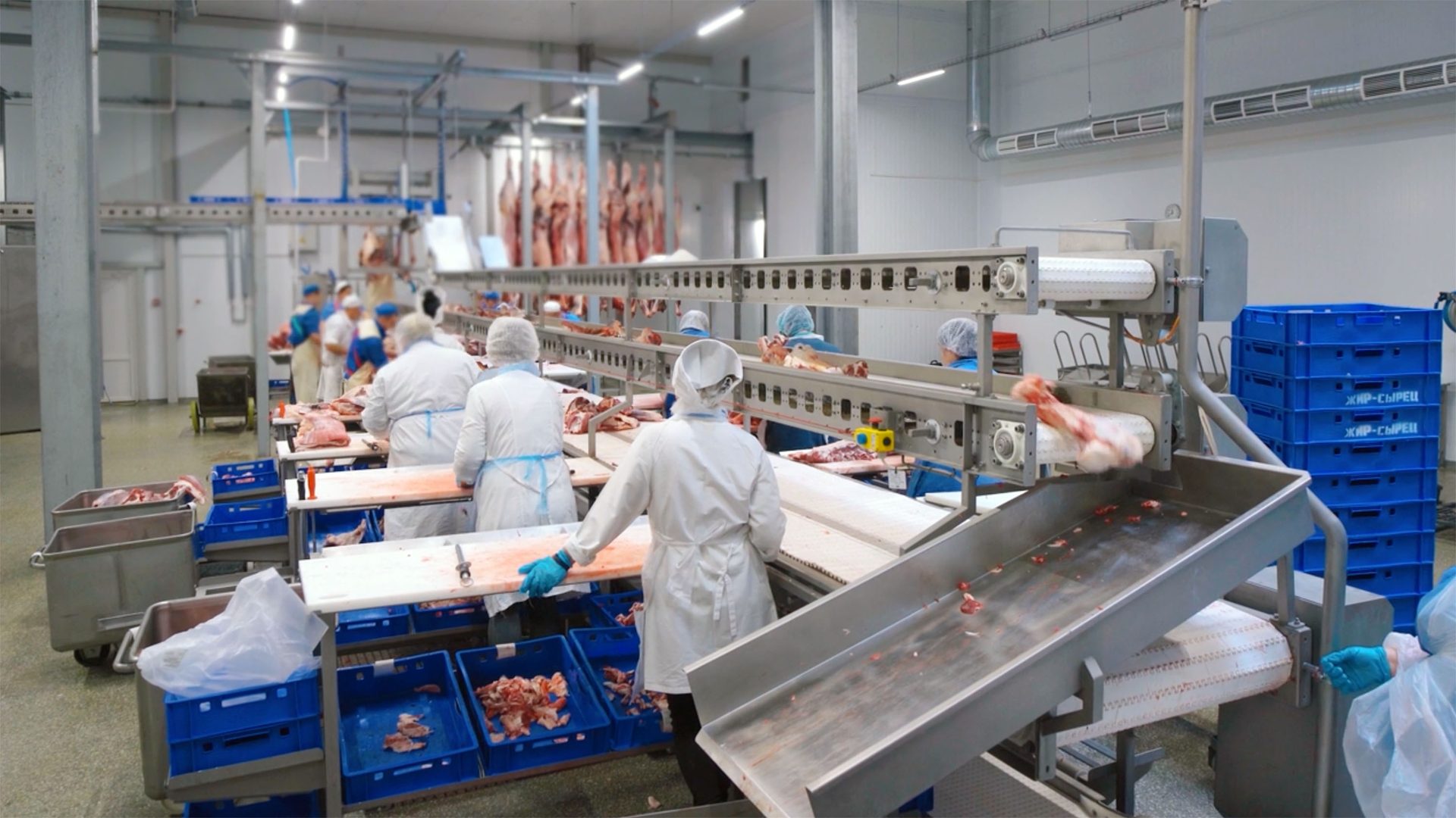 Meat processing plant with workers, conveyor belts, and hanging meat.