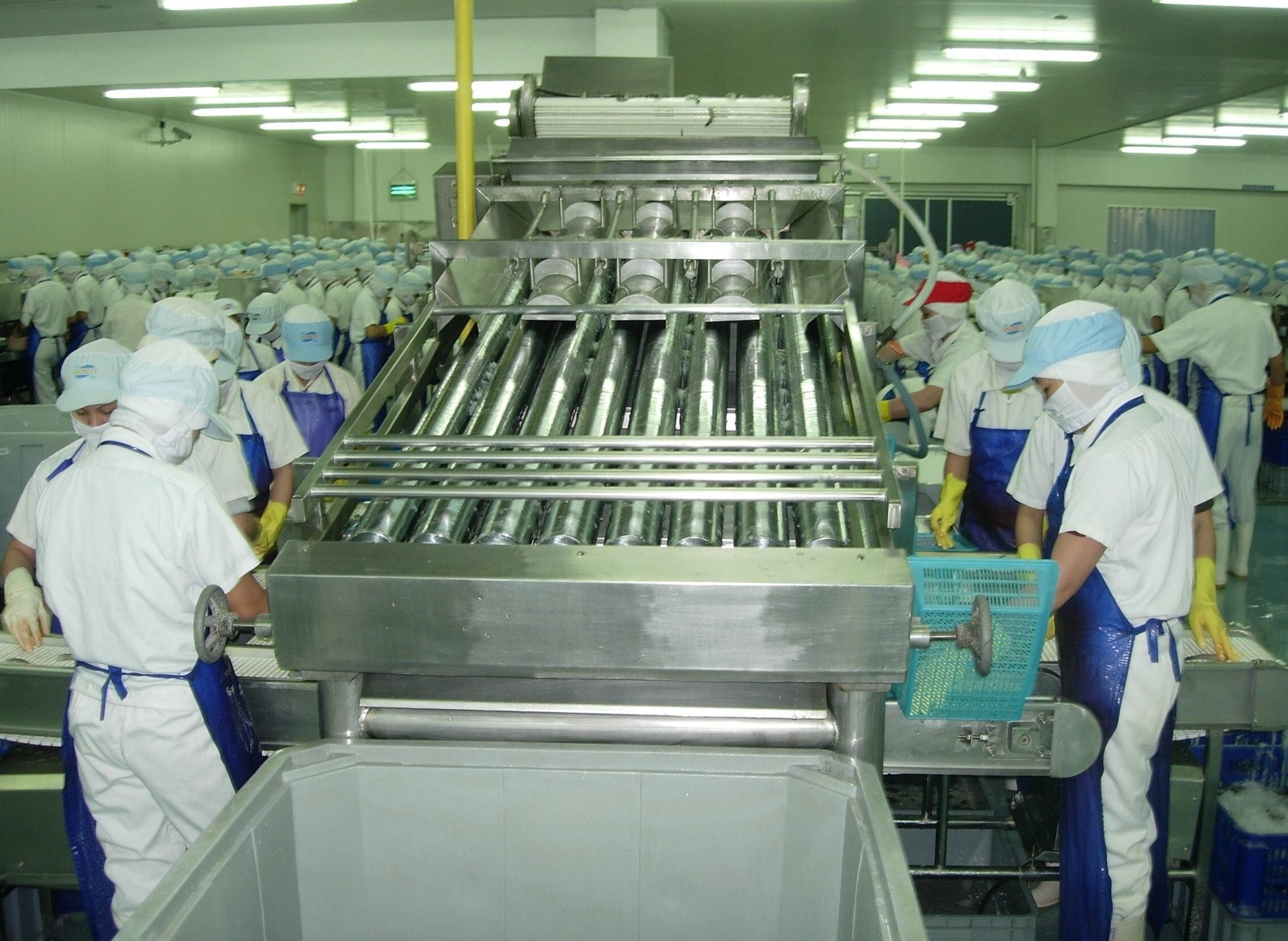 Workers in hygienic attire operate stainless steel food processing machinery in a large factory.