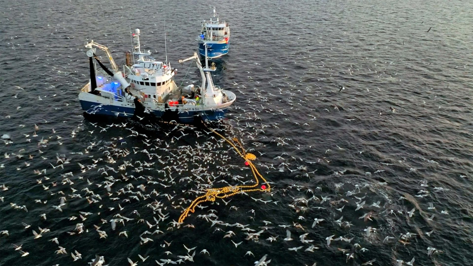 Two fishing boats at sea, surrounded by a large flock of seabirds, actively engaged in fishing.
