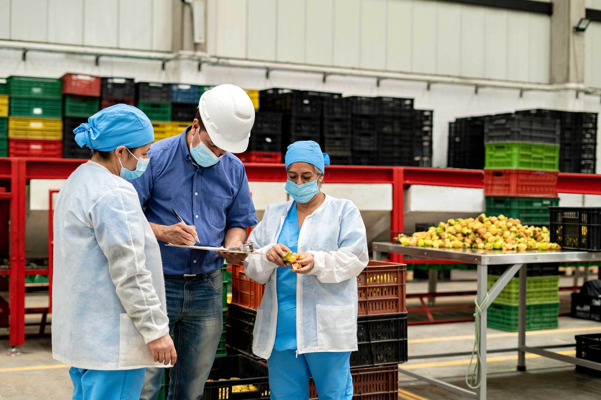 Hard hat, Natural foods, Public space, Food, Workwear, Helmet, Fruit