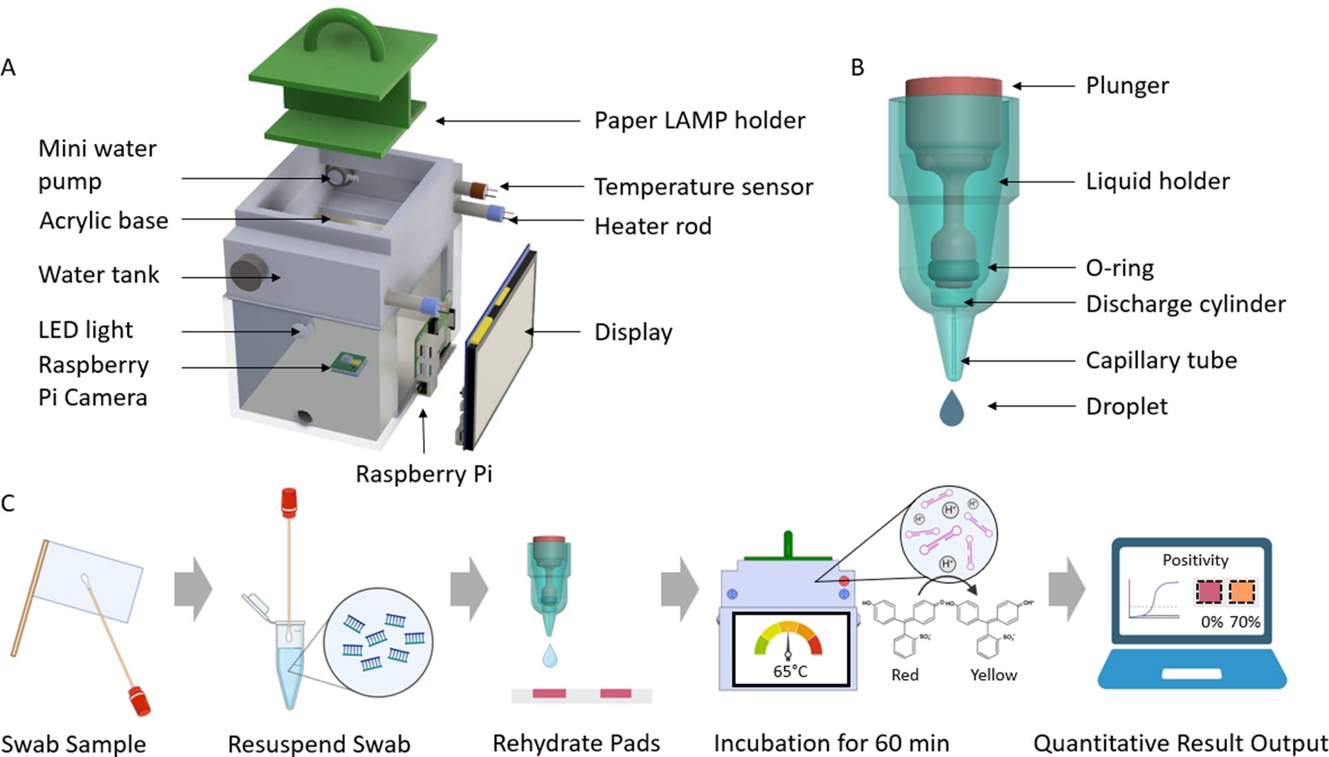 Portable LAMP diagnostic device components and assay workflow.