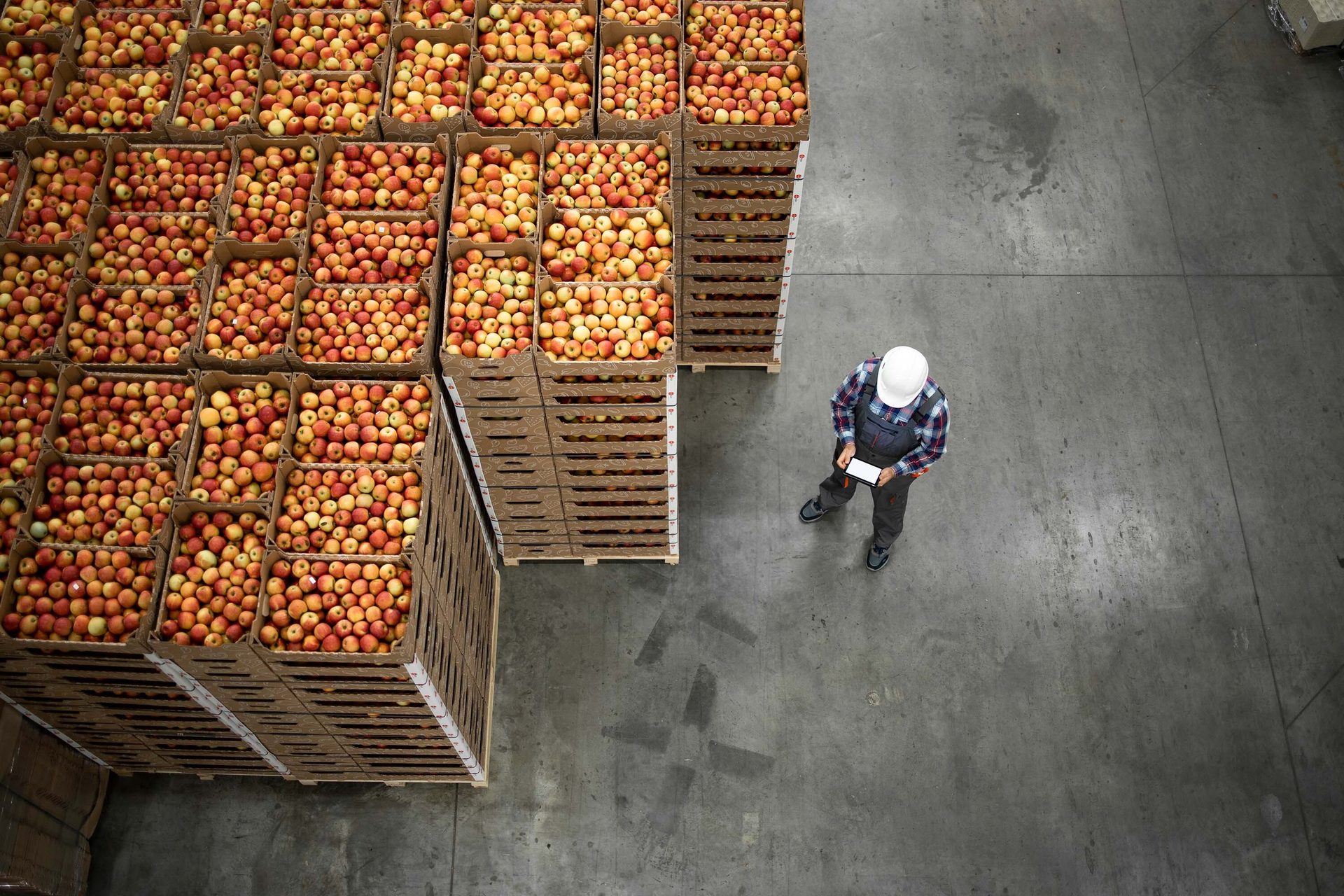 Overhead: Worker with tablet in warehouse with stacks of apple crates.