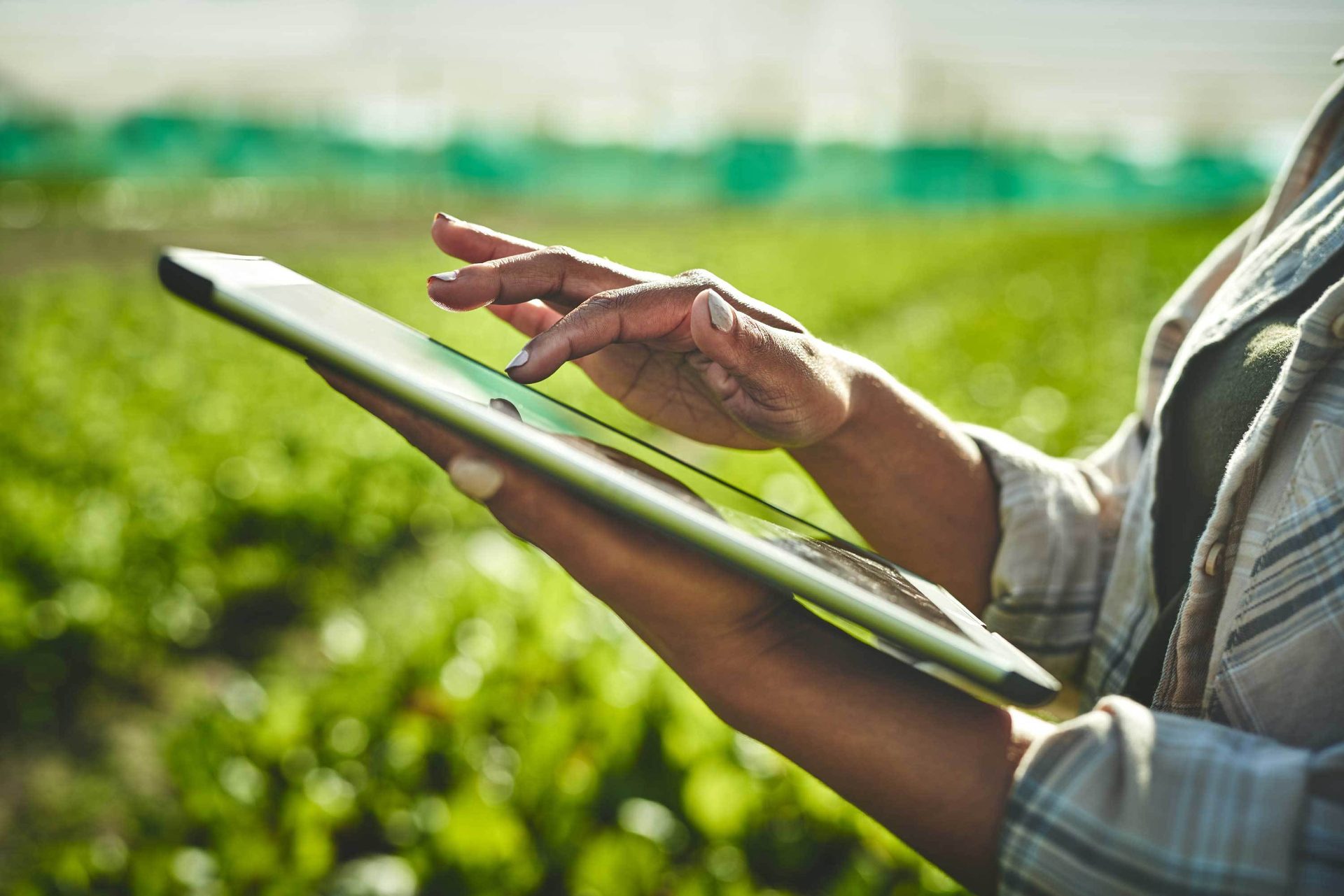 People in nature, Wind instrument, Gesture, Grass