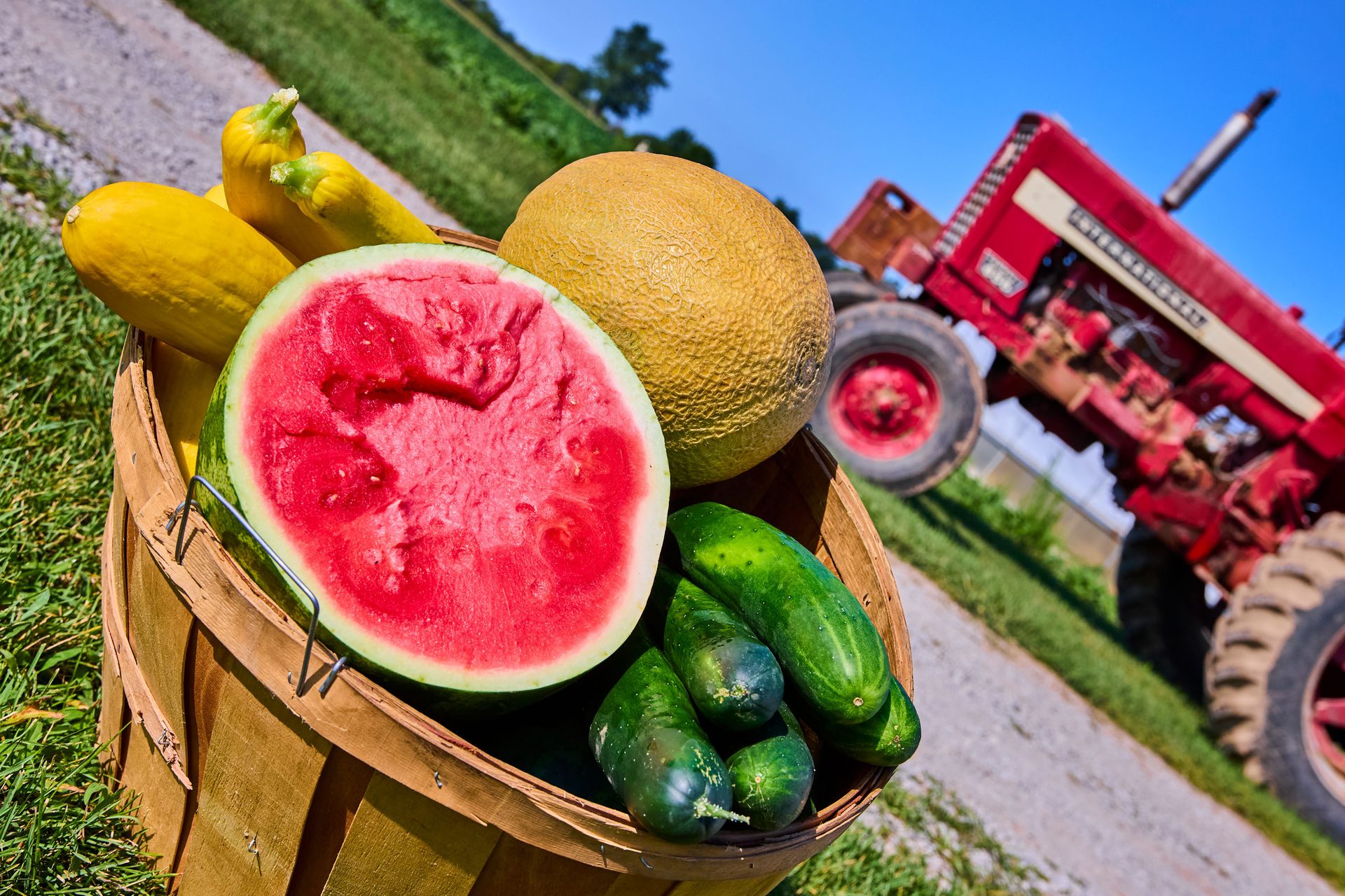 Farm fresh basket of watermelon, cantaloupe, cucumbers, and squash, with a red tractor nearby.