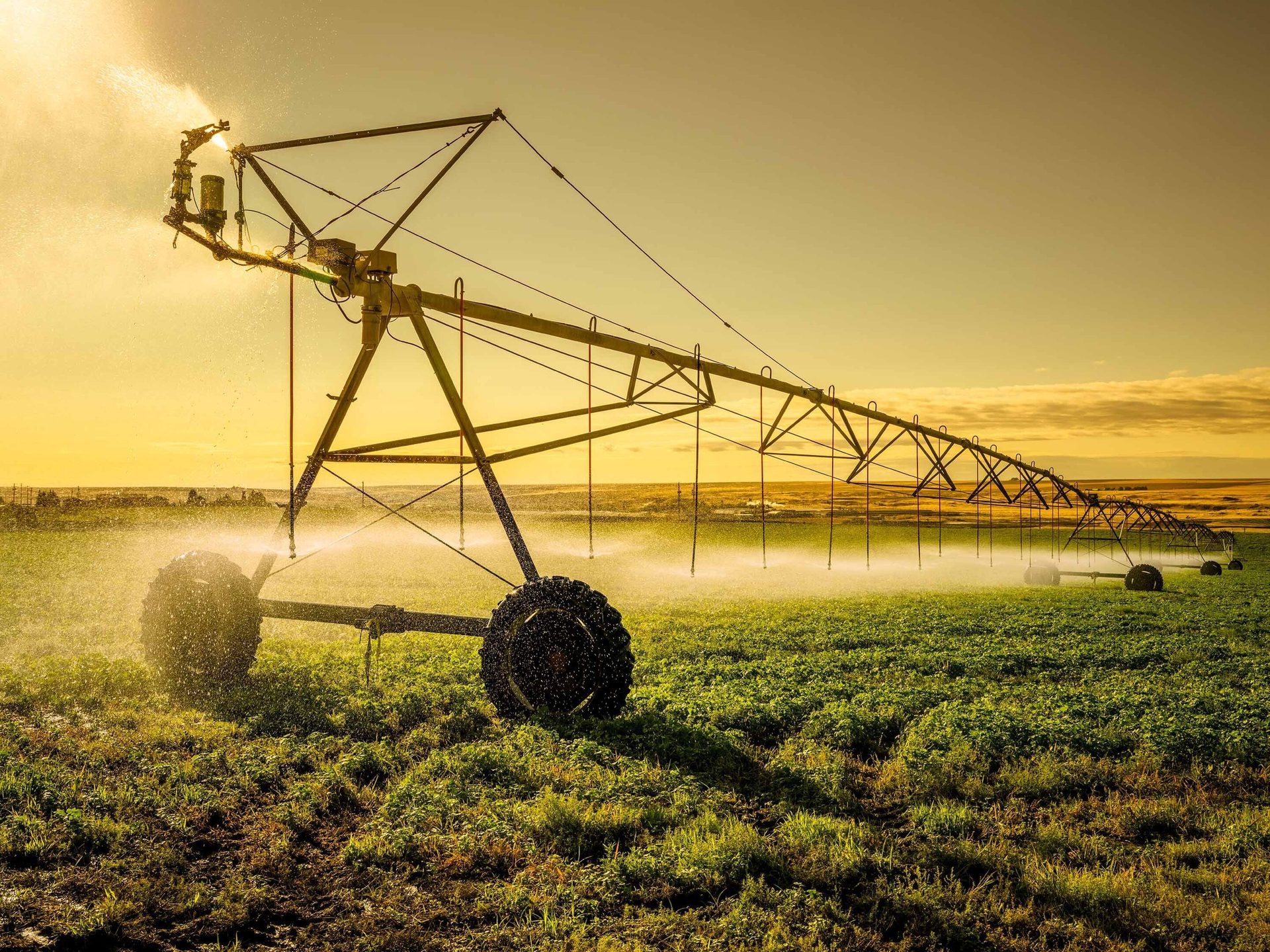 A center pivot irrigation system waters a green field against a golden sky.