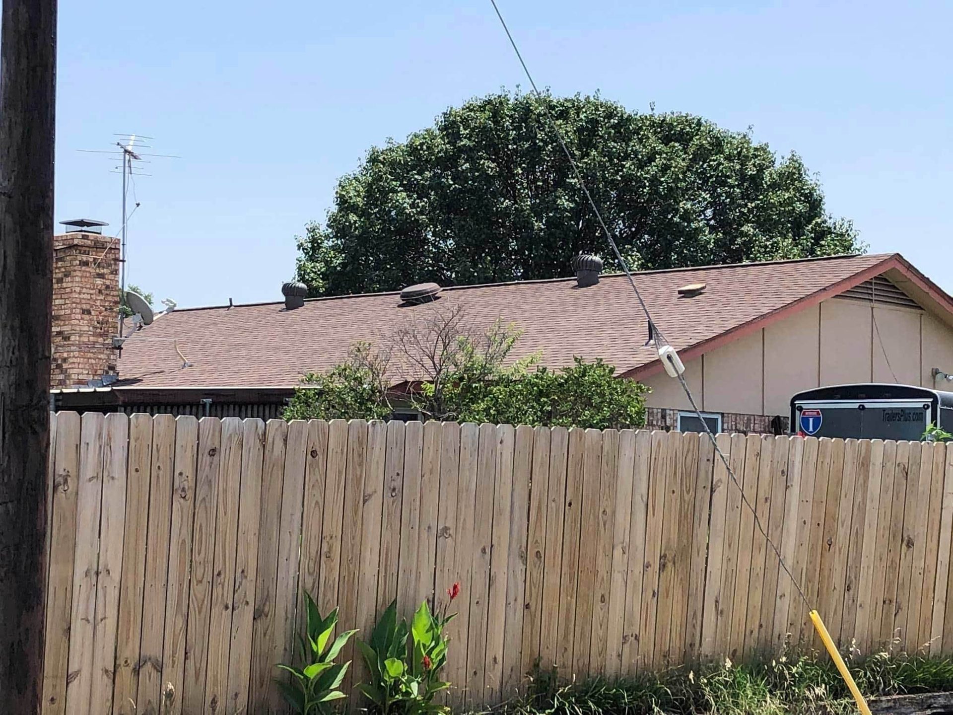 Land lot, Plant, Sky, Property, Fence, Wood, Tree, Vegetation, Line