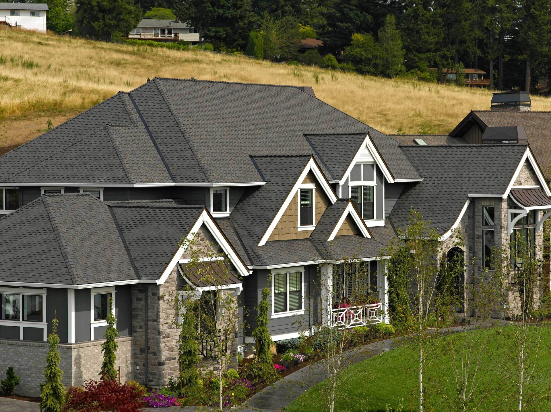 Land lot, Plant, Building, Window, Property, House, Tree, Architecture, Grass, Biome