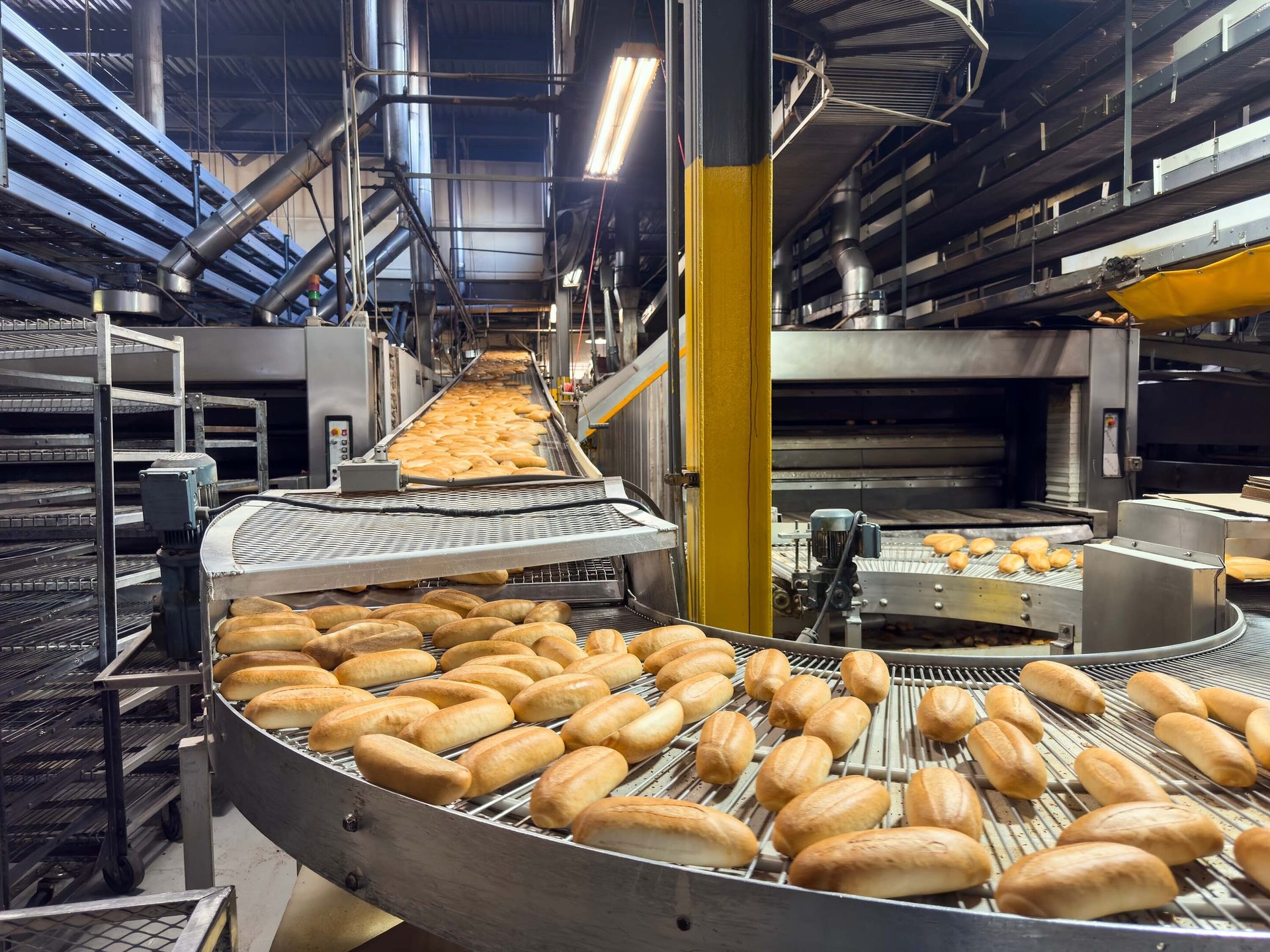 Baked bread rolls moving along conveyor belts in a large industrial bakery.