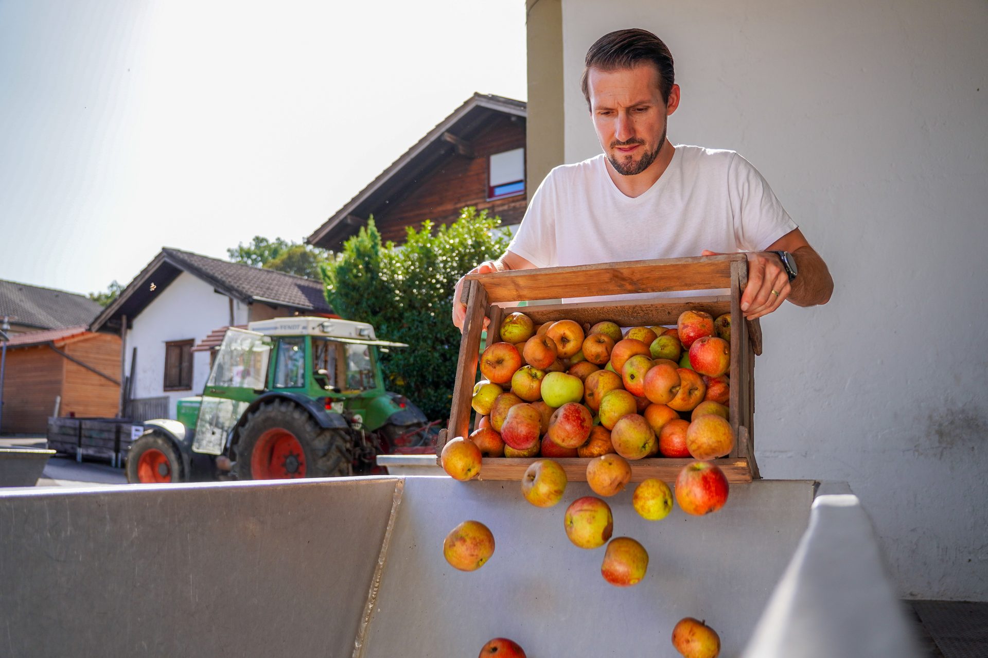 A man empties a wooden crate full of apples into a large metal hopper, with a tractor in the background.