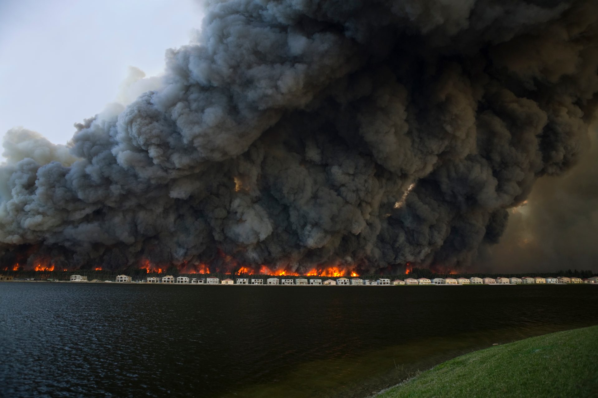 Water, Sky, Plant, Pollution