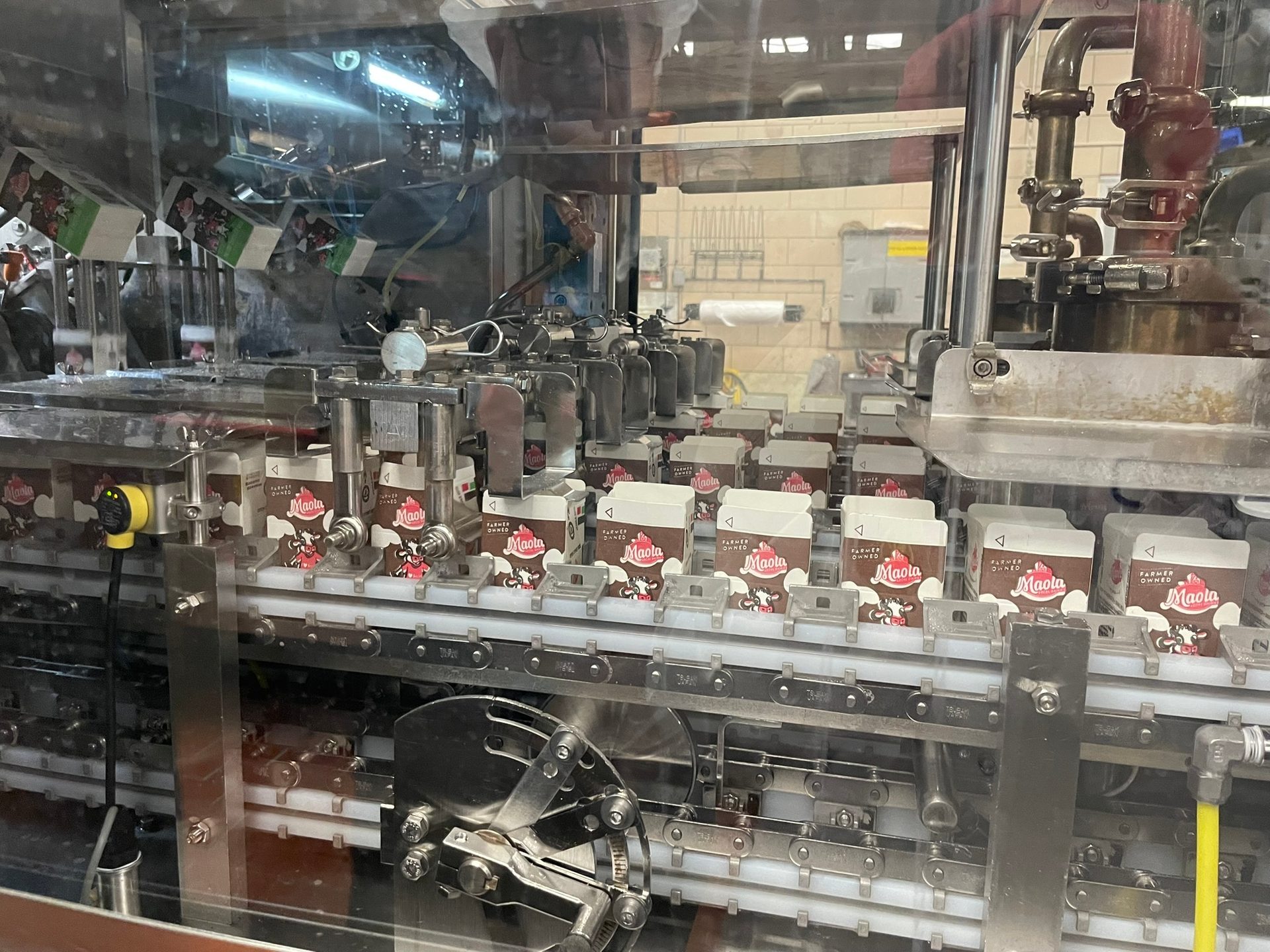 Maola chocolate milk cartons moving on an automated packaging line inside a factory.