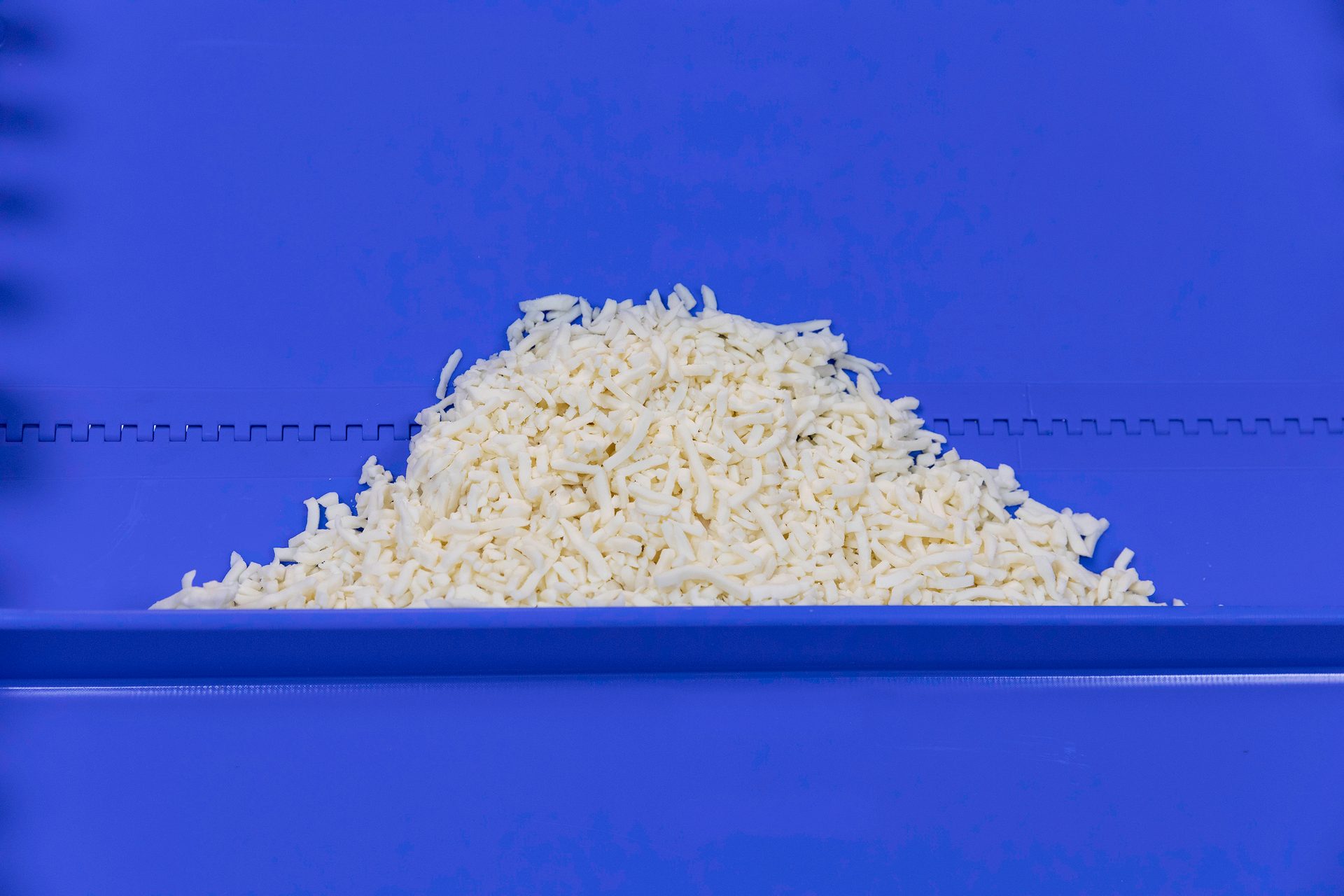 A mound of white shredded cheese rests on a bright blue surface, likely a conveyor belt or container.