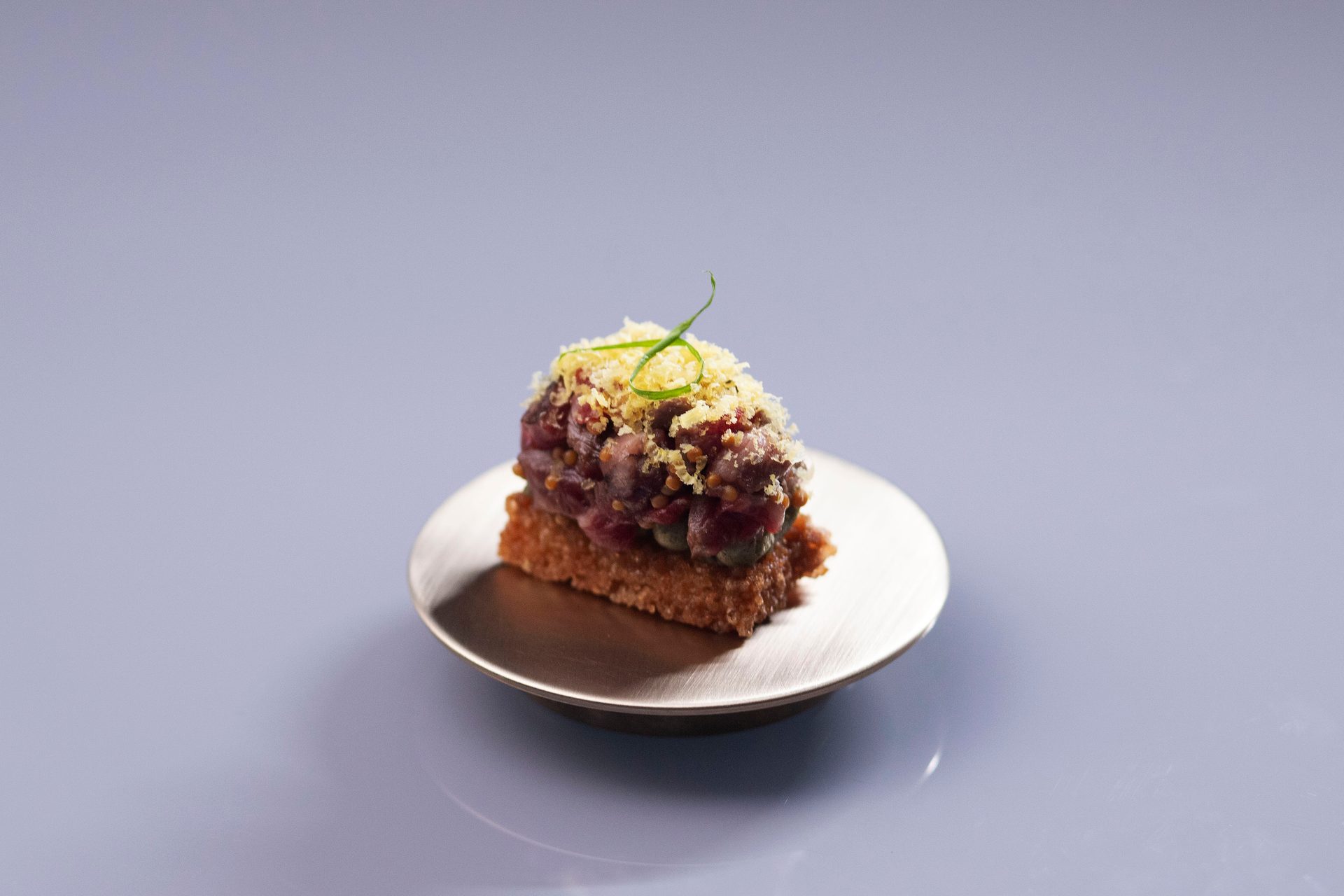 Gourmet tartare on toast with green garnish on a small metallic plate.