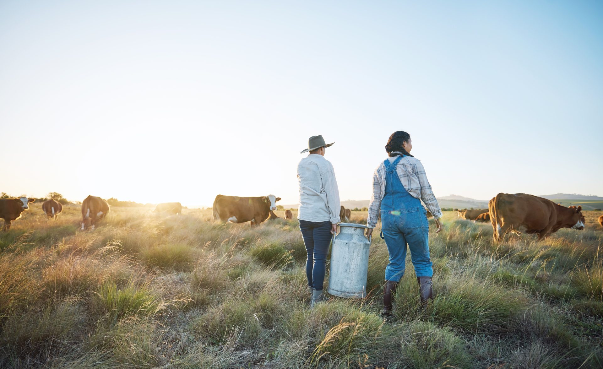 Two farmers, one in a hat and one in overalls, carry a milk can through a grassy field with cows at sunset.