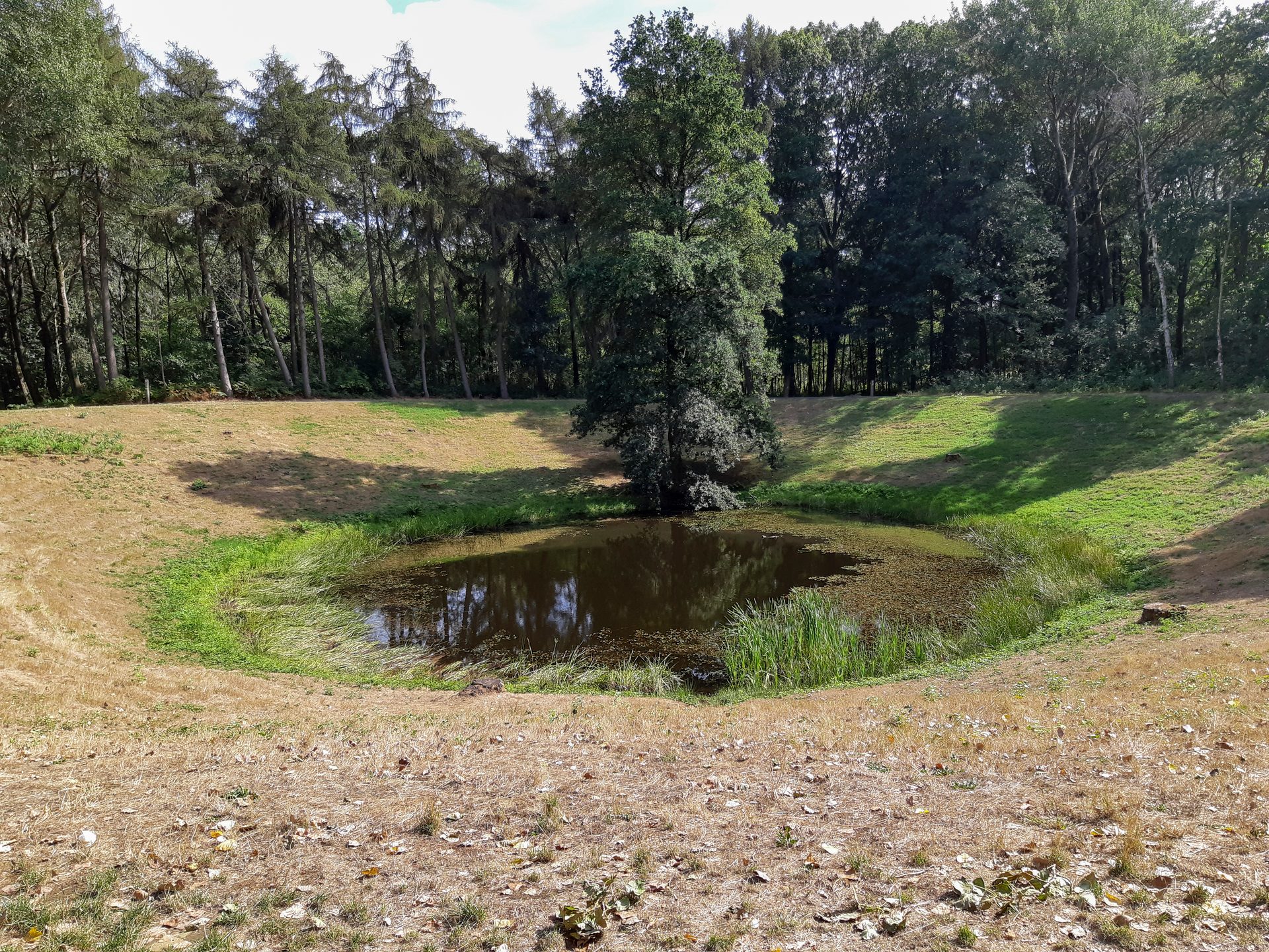 Natural landscape, Plant, Tree, Sky, Water