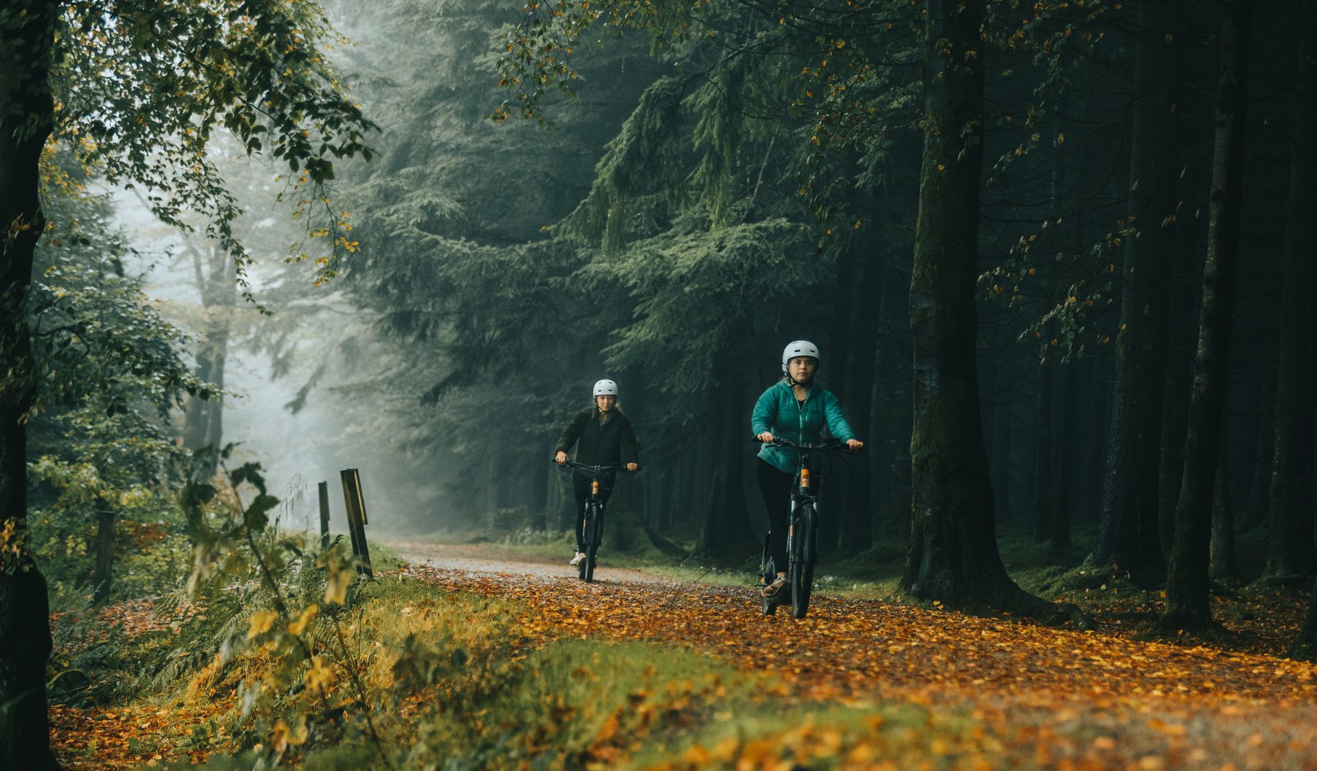 People in nature, Natural environment, Sports equipment, Plant, Tree, Wood, Sunlight, Grass, Biome