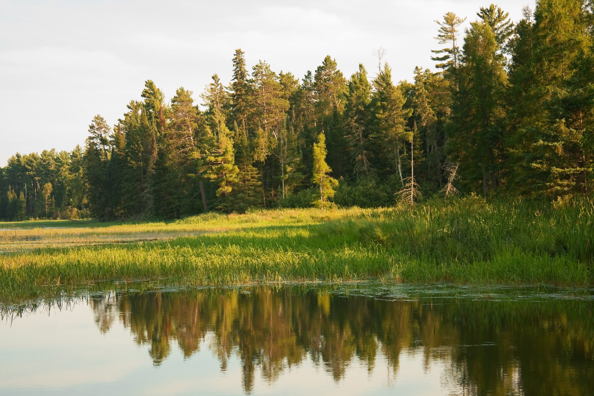 Natural landscape, Water, Sky, Plant, Larch, Tree, Sunlight, Lake, Vegetation